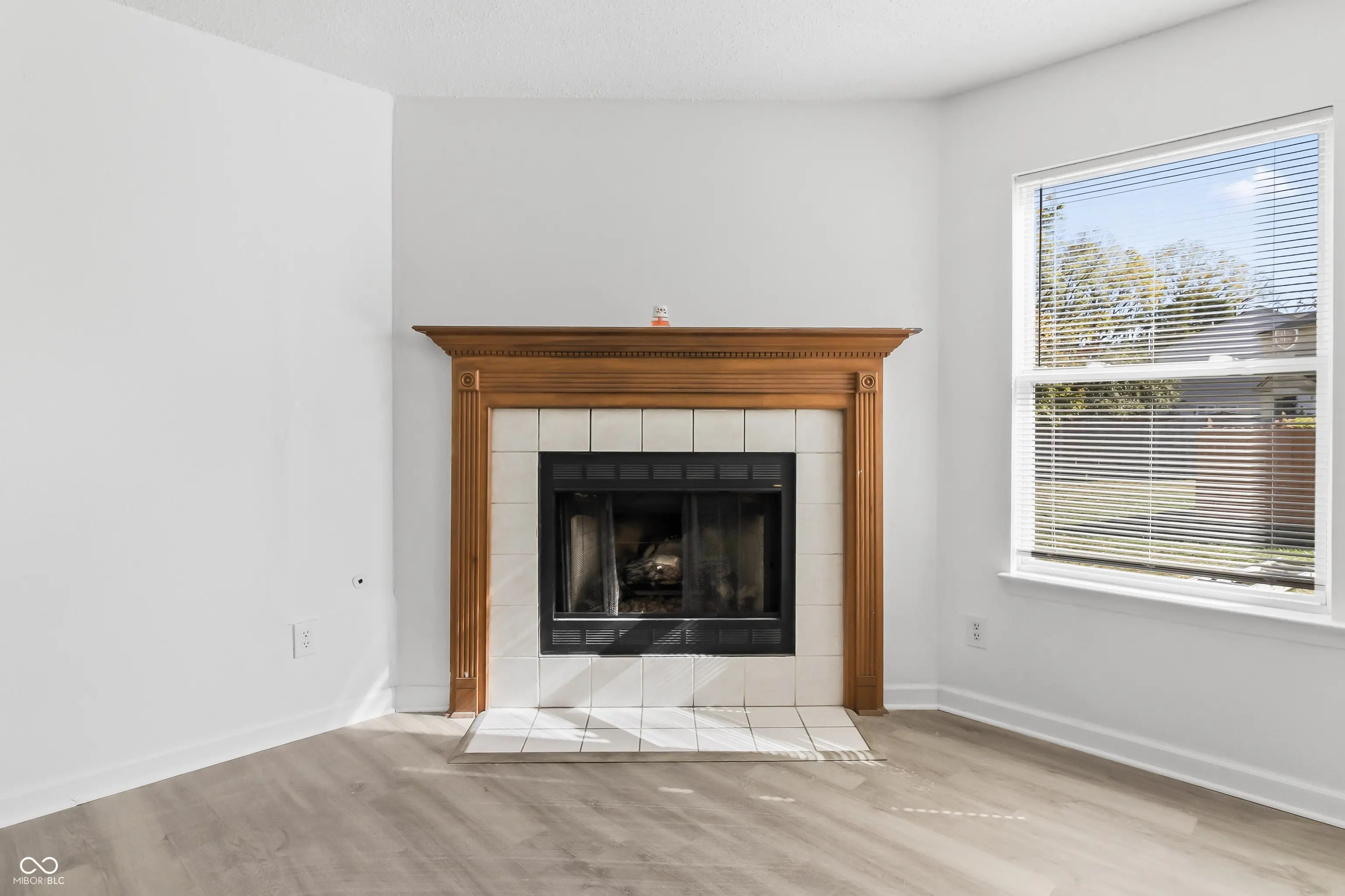 5025 Flame Way MLS 22055258 Falcons Nest photo 18