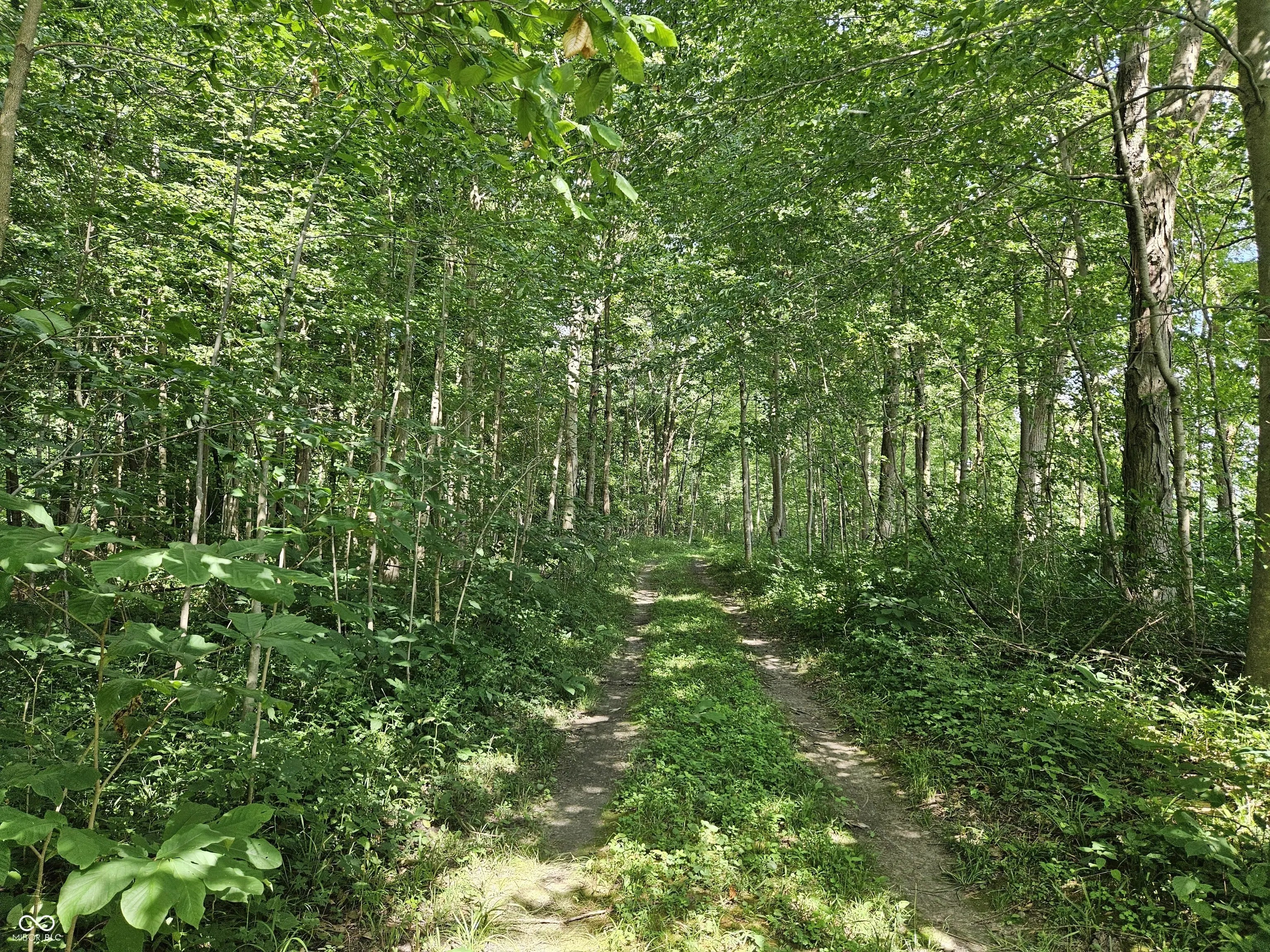 4148 E State Road 28, Tipton
