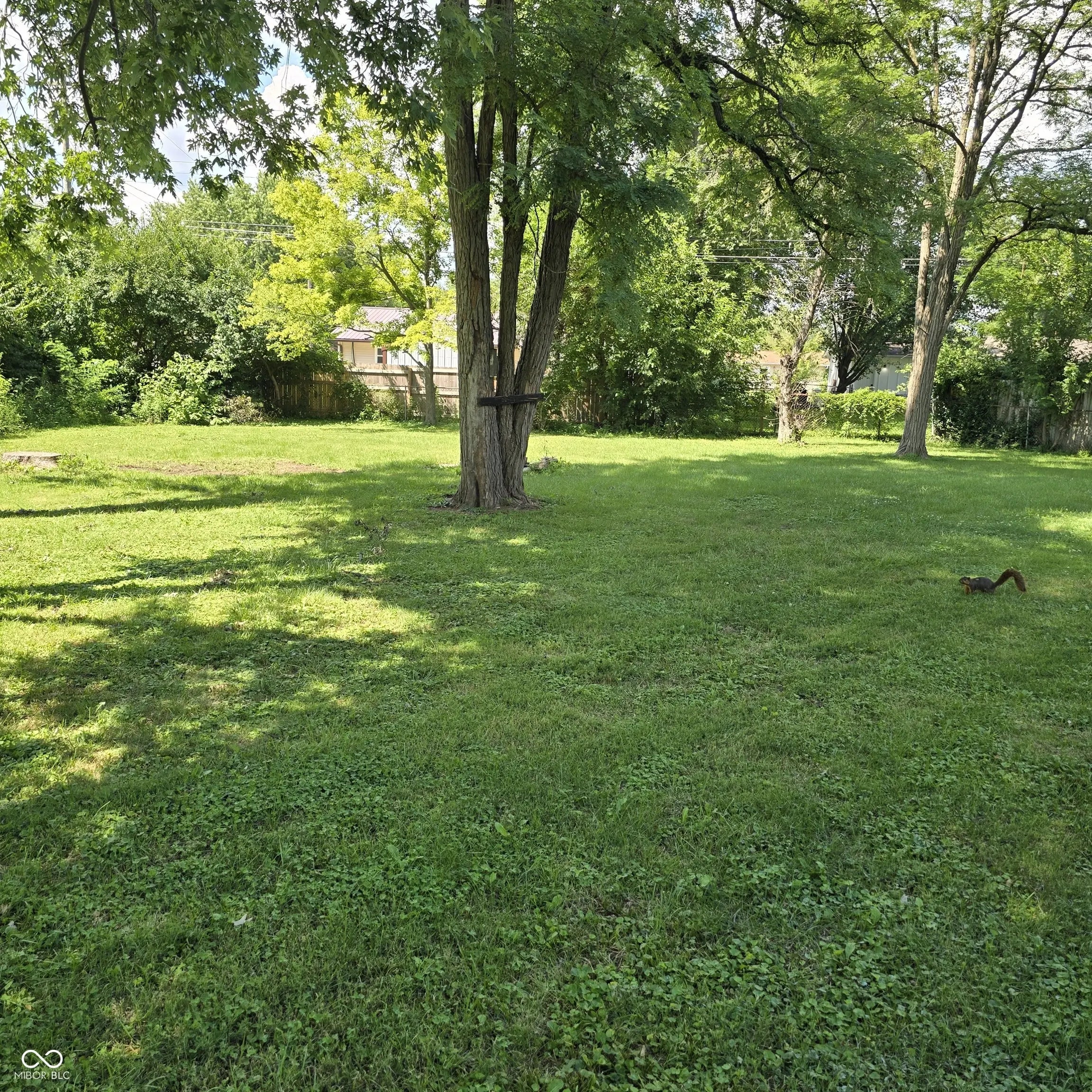 240 Shelton Place MLS 22055637 New Whiteland photo 12