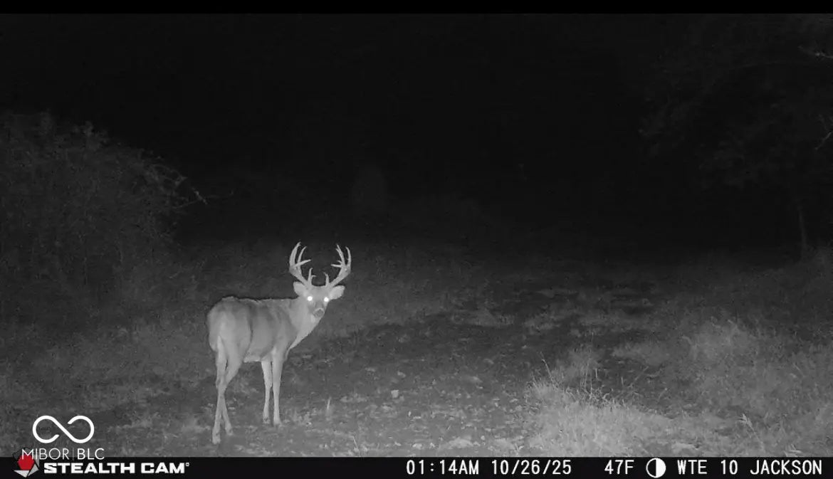 2000 Block W 1125 N, Freetown