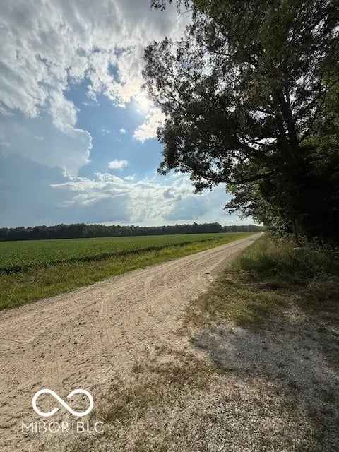 3255 Lemon Road MLS 22056903 No Subdivision photo 43