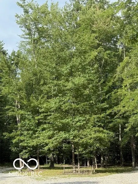 3255 Lemon Road MLS 22056903 No Subdivision photo 52