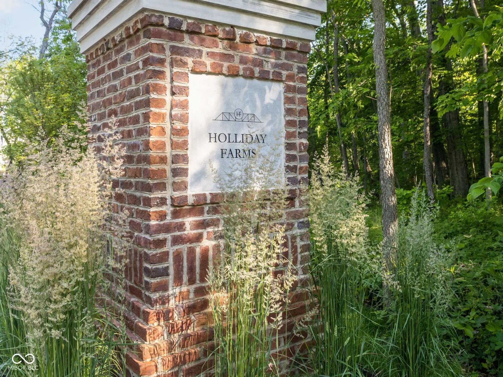 4135 Hartswick Court MLS 22057542 Holliday Farms photo 50