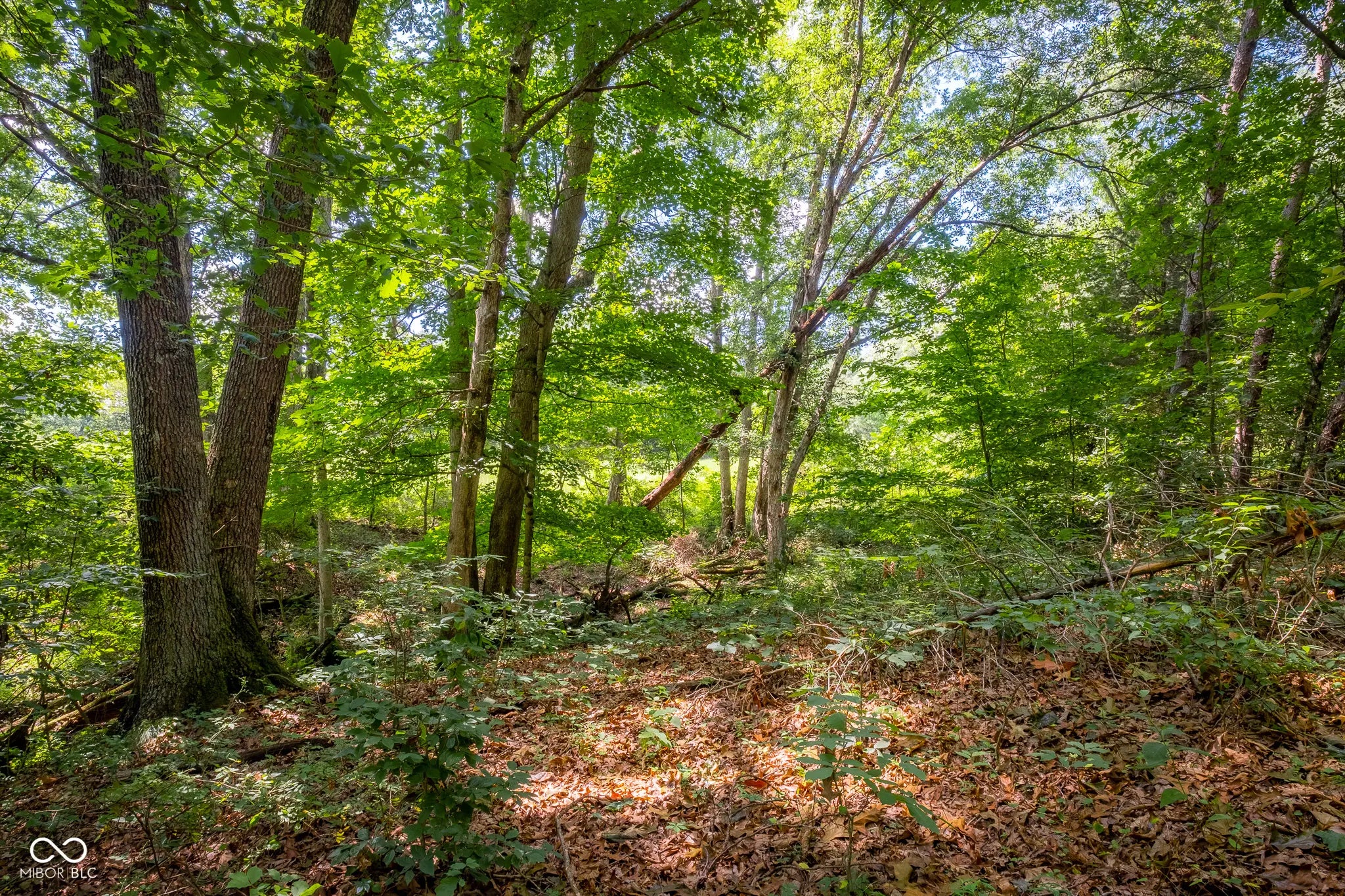 14000 W Mt Healthy Road, Columbus