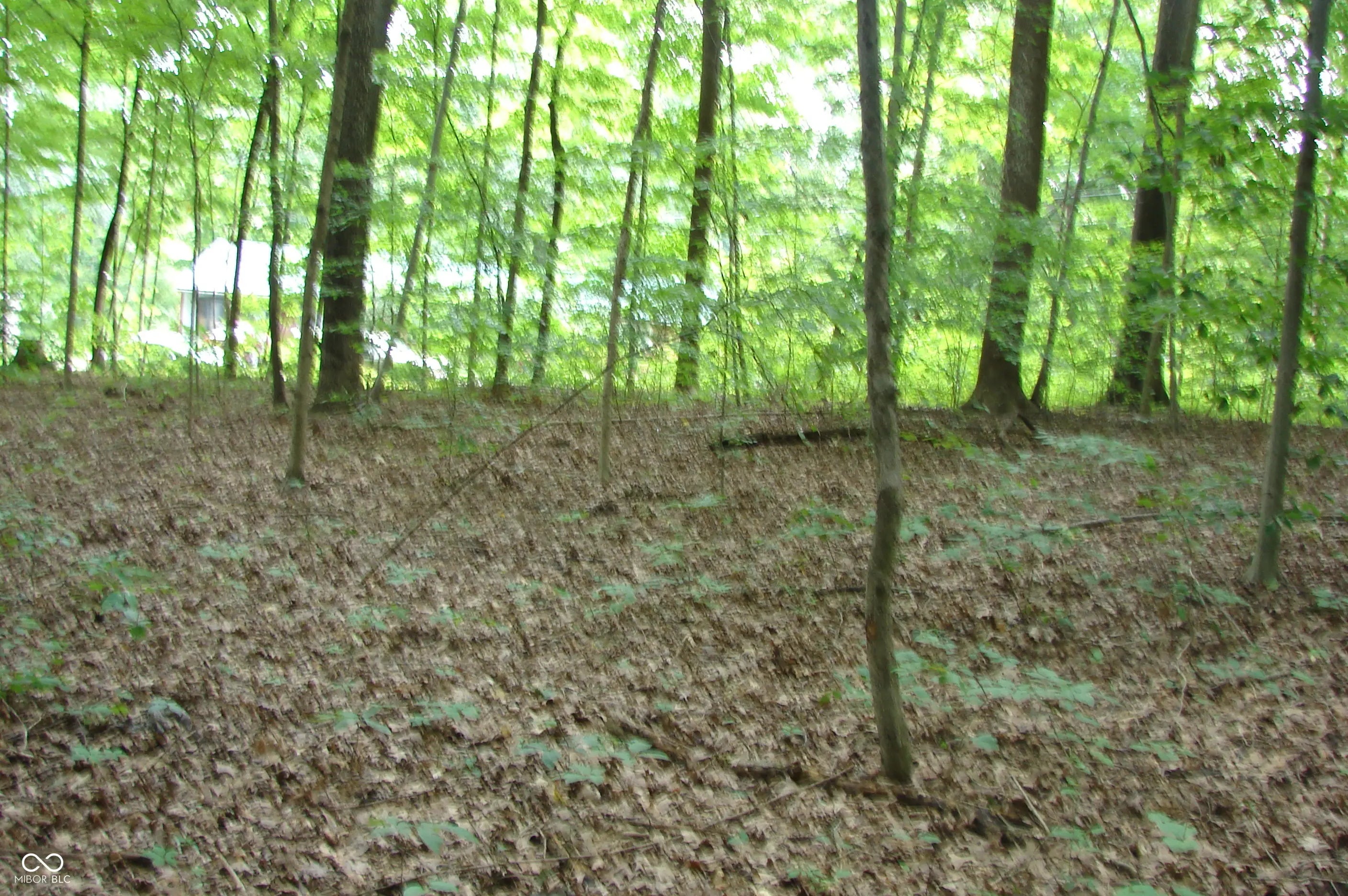 Photo of 52 Lake Hart Mooresville, IN 46158