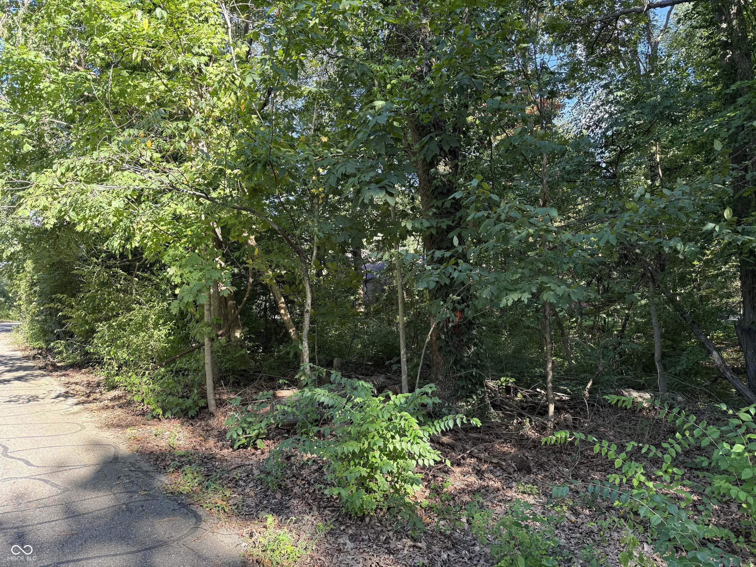 7089 Muskrat Drive, Nineveh