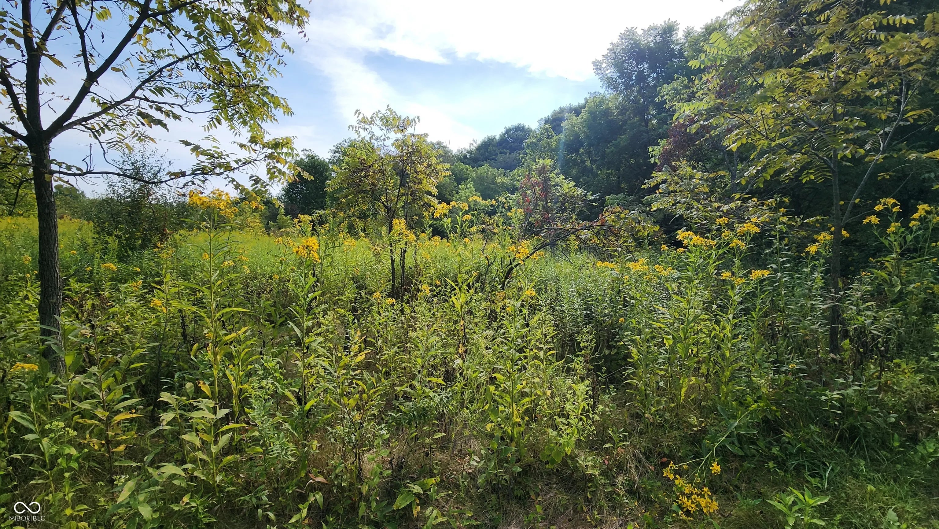 366 W 200 S MLS 22059210 No Subdivision photo 13