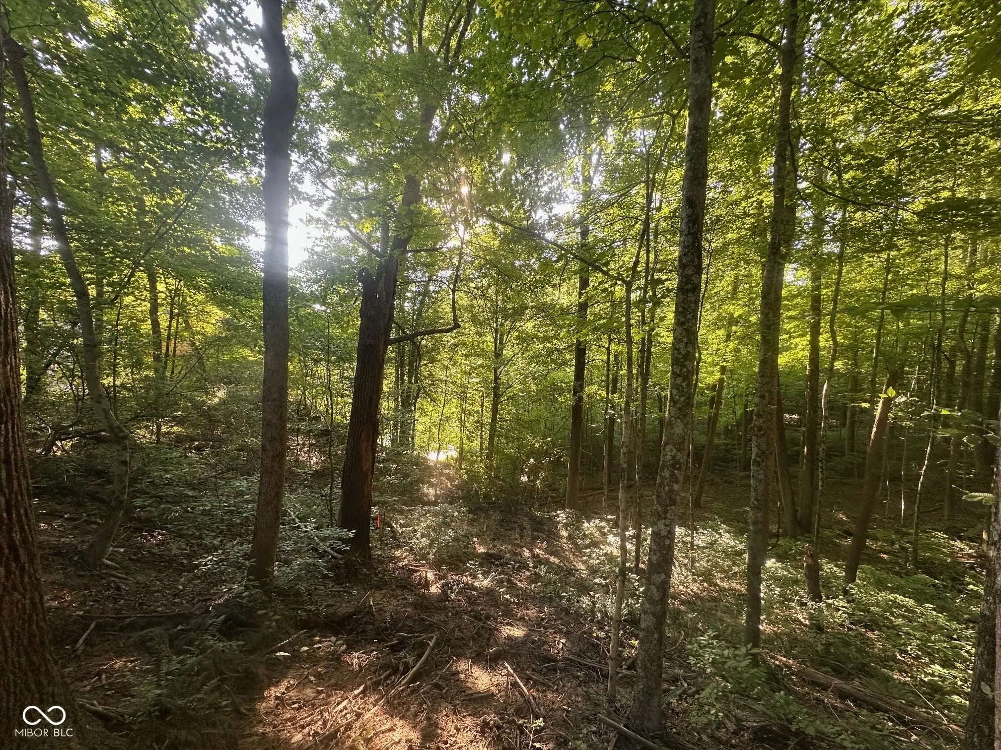 N Country Club Road, Martinsville