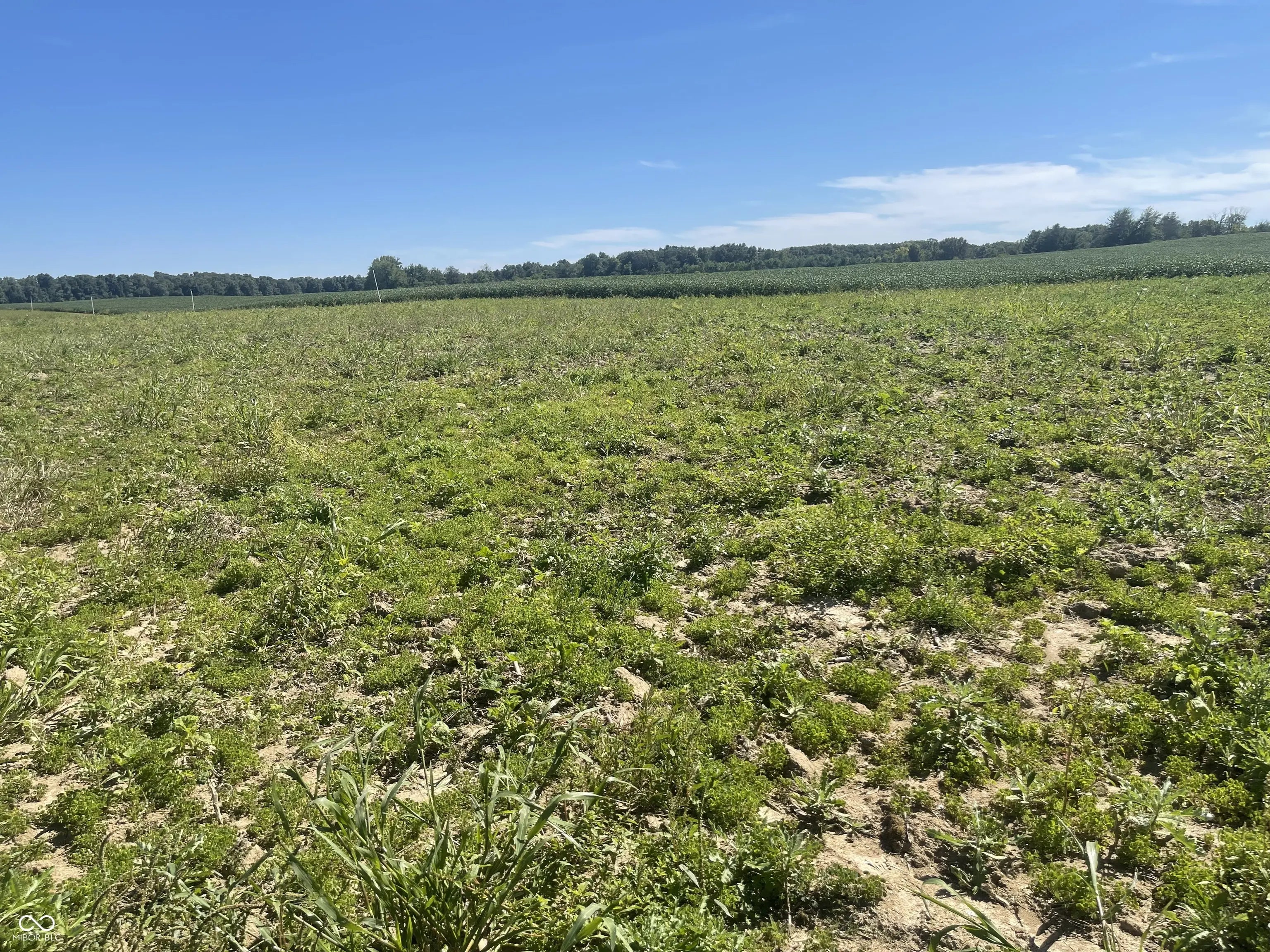 Photo of 1 W Cr 990 North Tract 