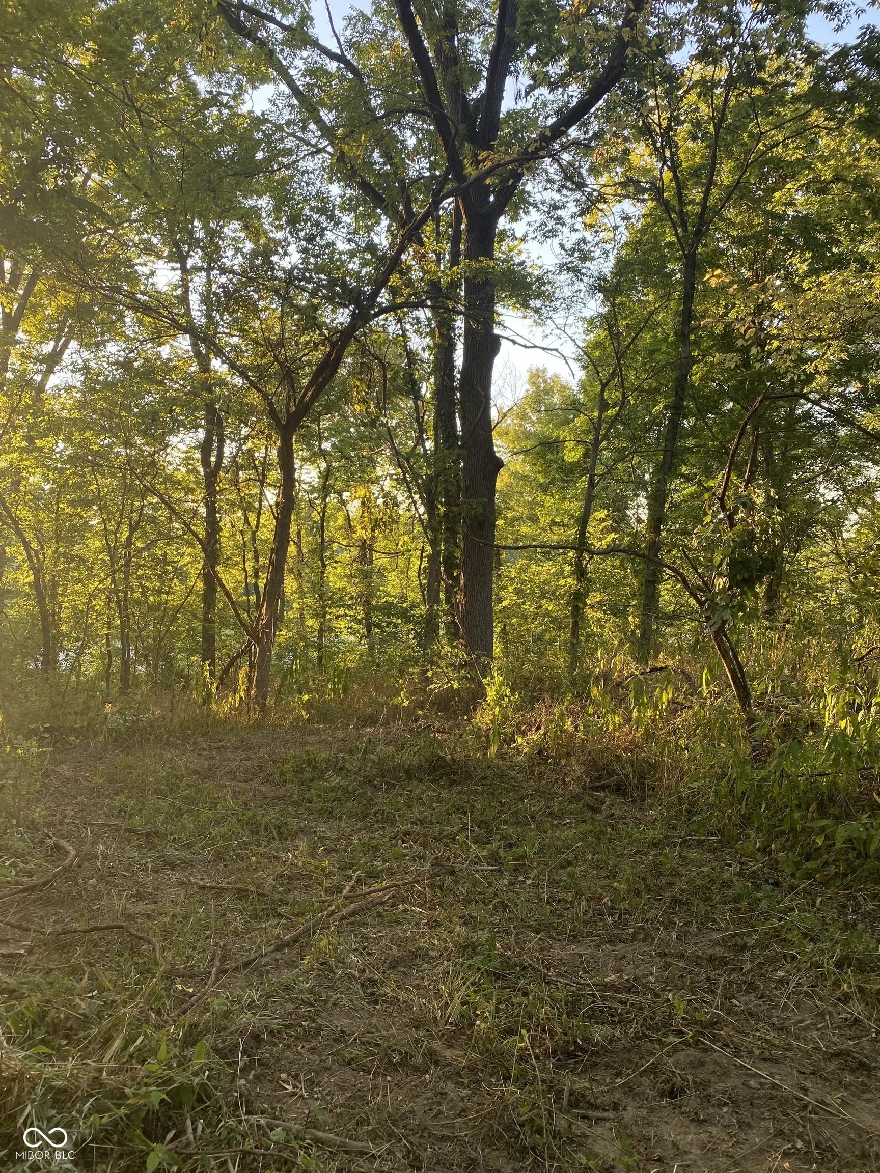 Photo of State Road 75 S North Salem, IN 46165