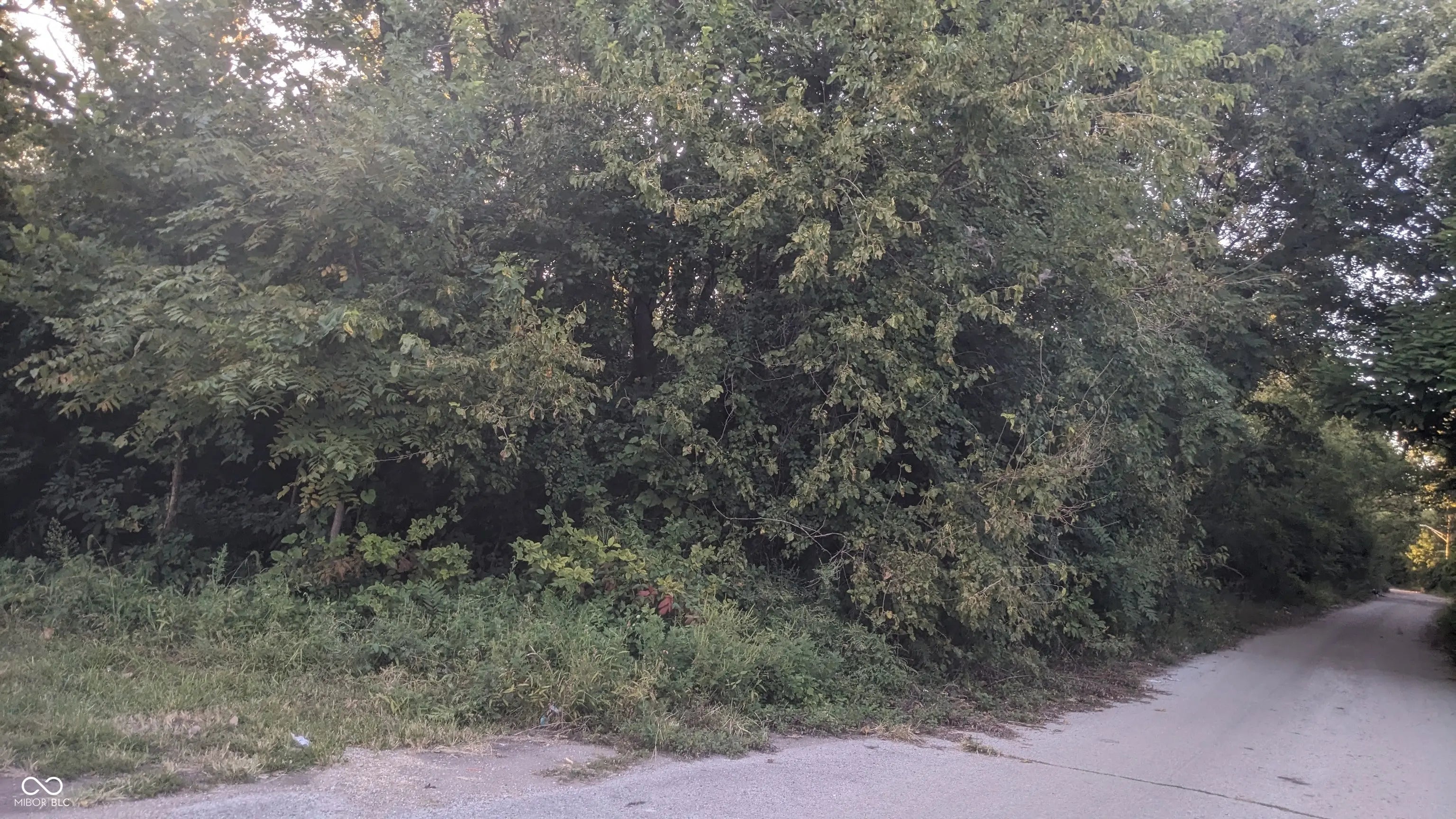 1544 Perkins Avenue, Indianapolis