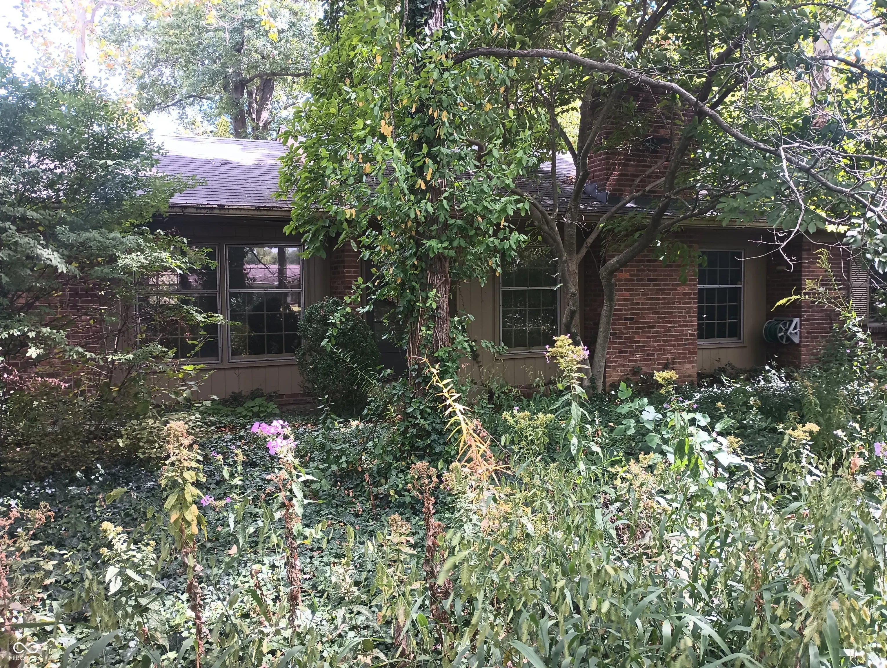 10465 Woodlawn Drive, Indianapolis