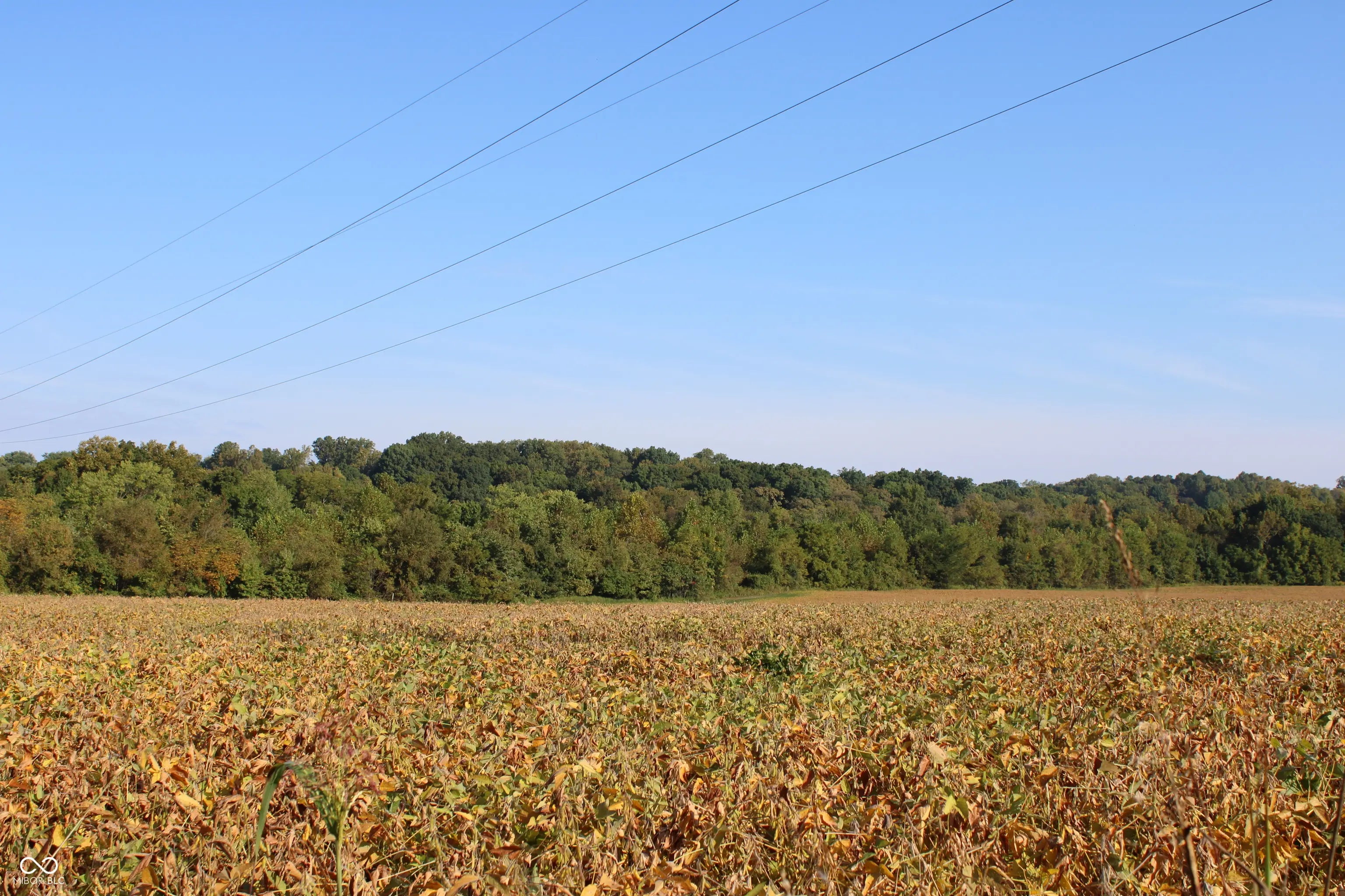 Photo of Sandpit Road Bedford, IN 47421
