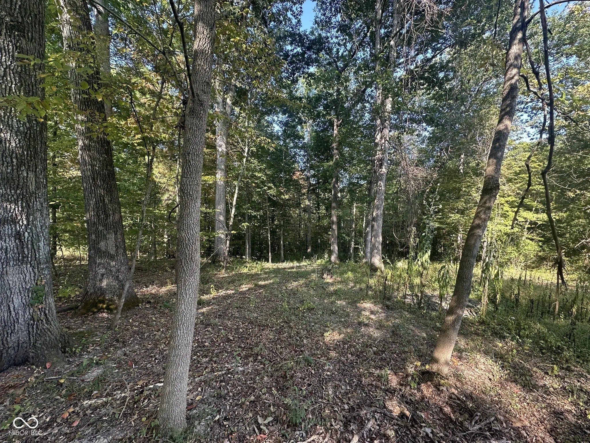 State Road 135 N, Nashville