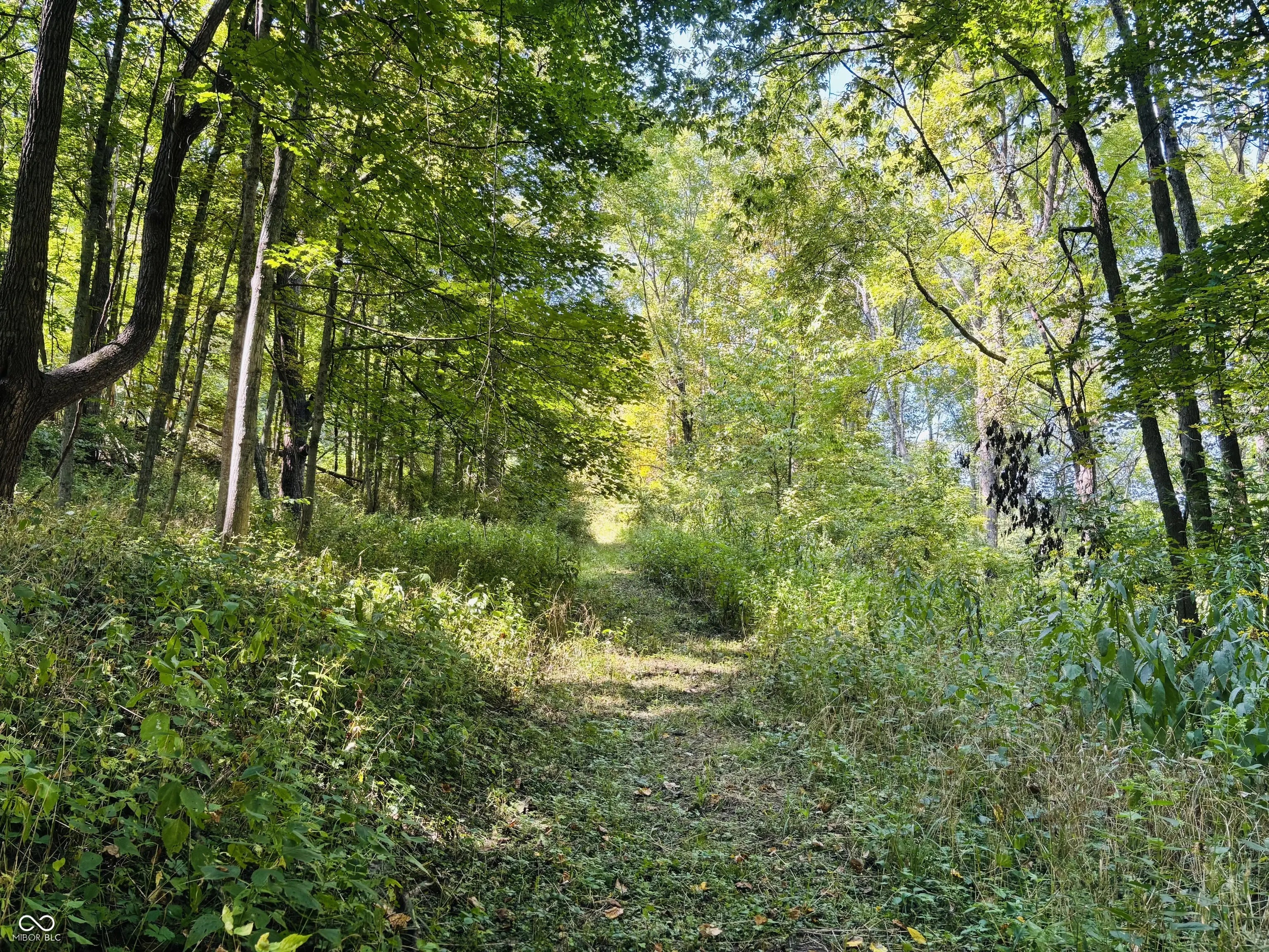 Photo of 6546 S State Road 121 Connersville, IN 47331