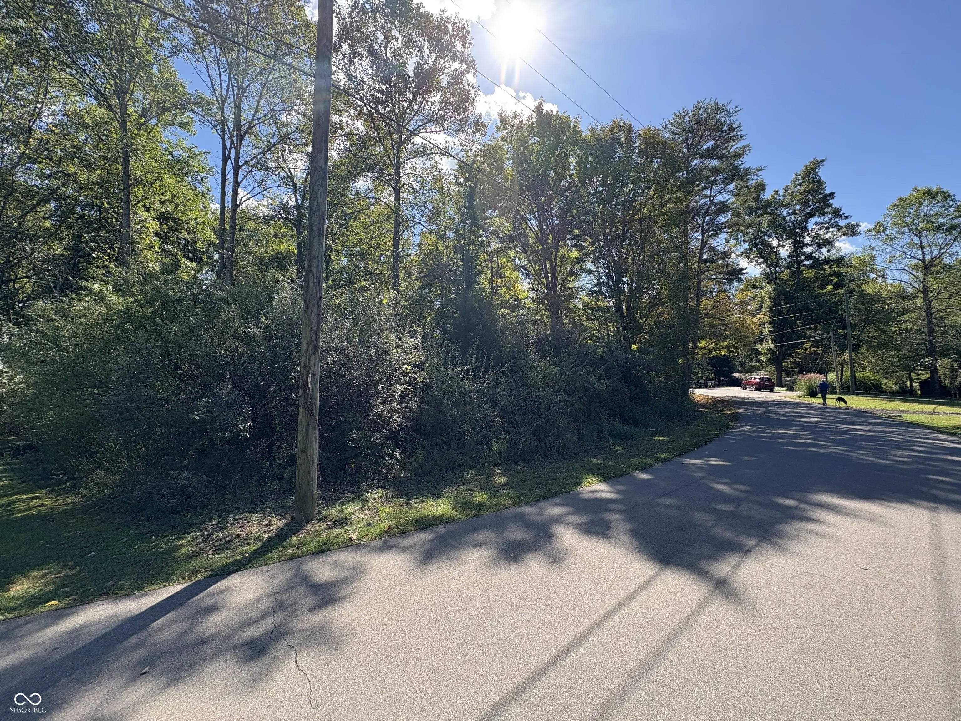 7427 Lion Drive, Nineveh