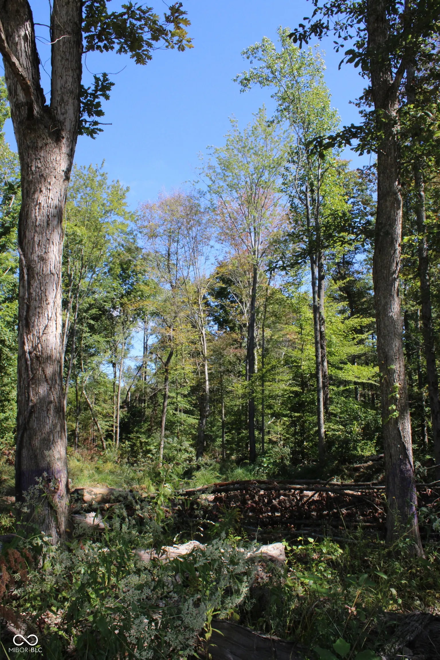 Tract 10   7530 W Private Road 775 S, Commiskey