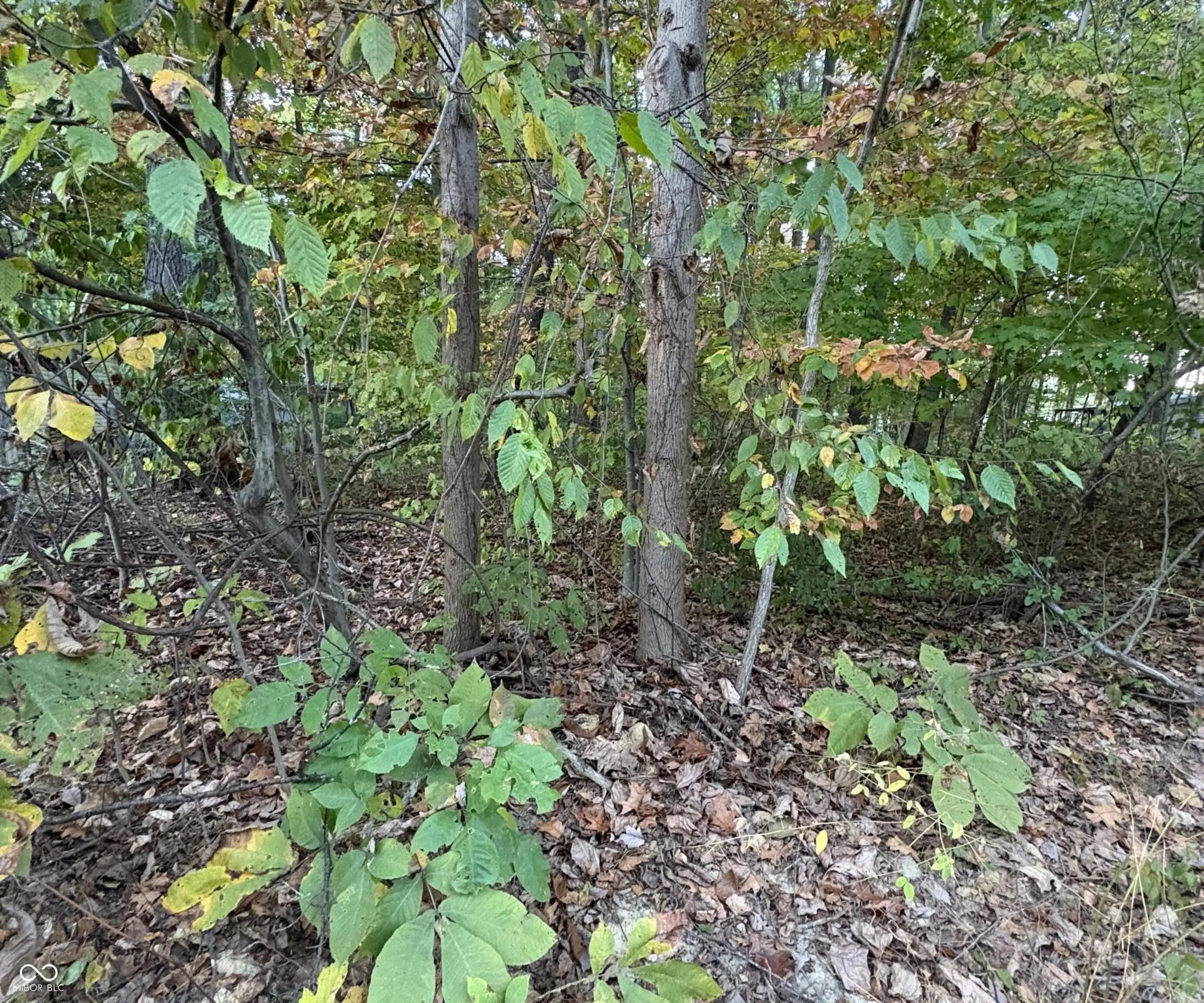 205 Stardust Way, Cloverdale