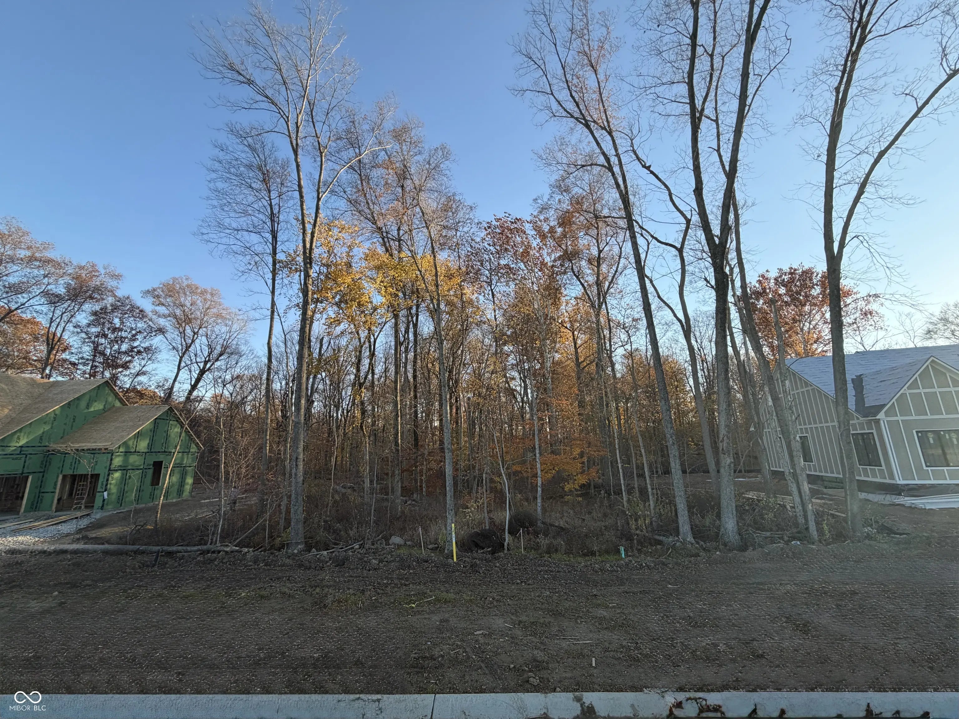 8247 Keeneland Road, Zionsville