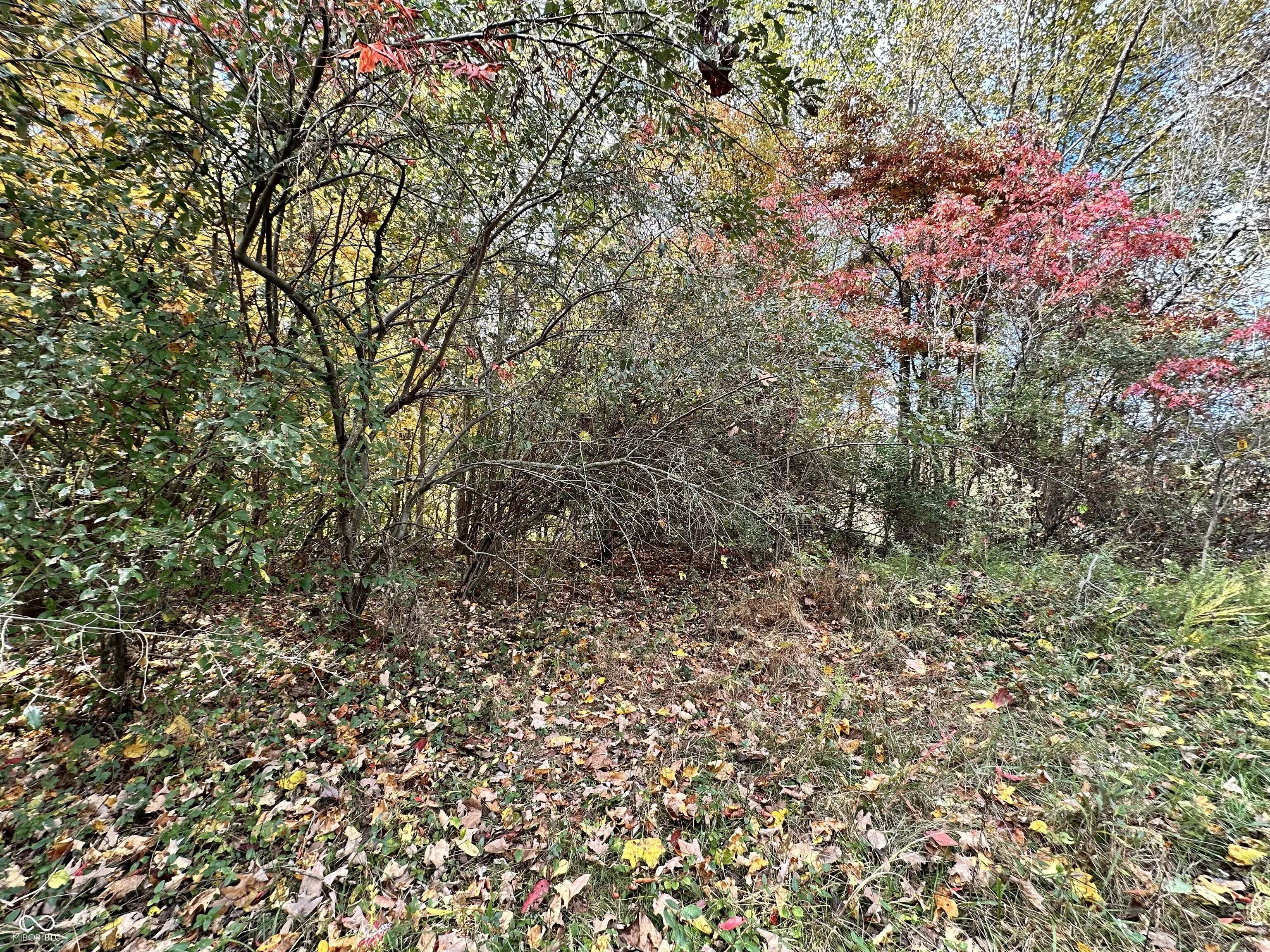 Foxcliff East Drive S, Martinsville