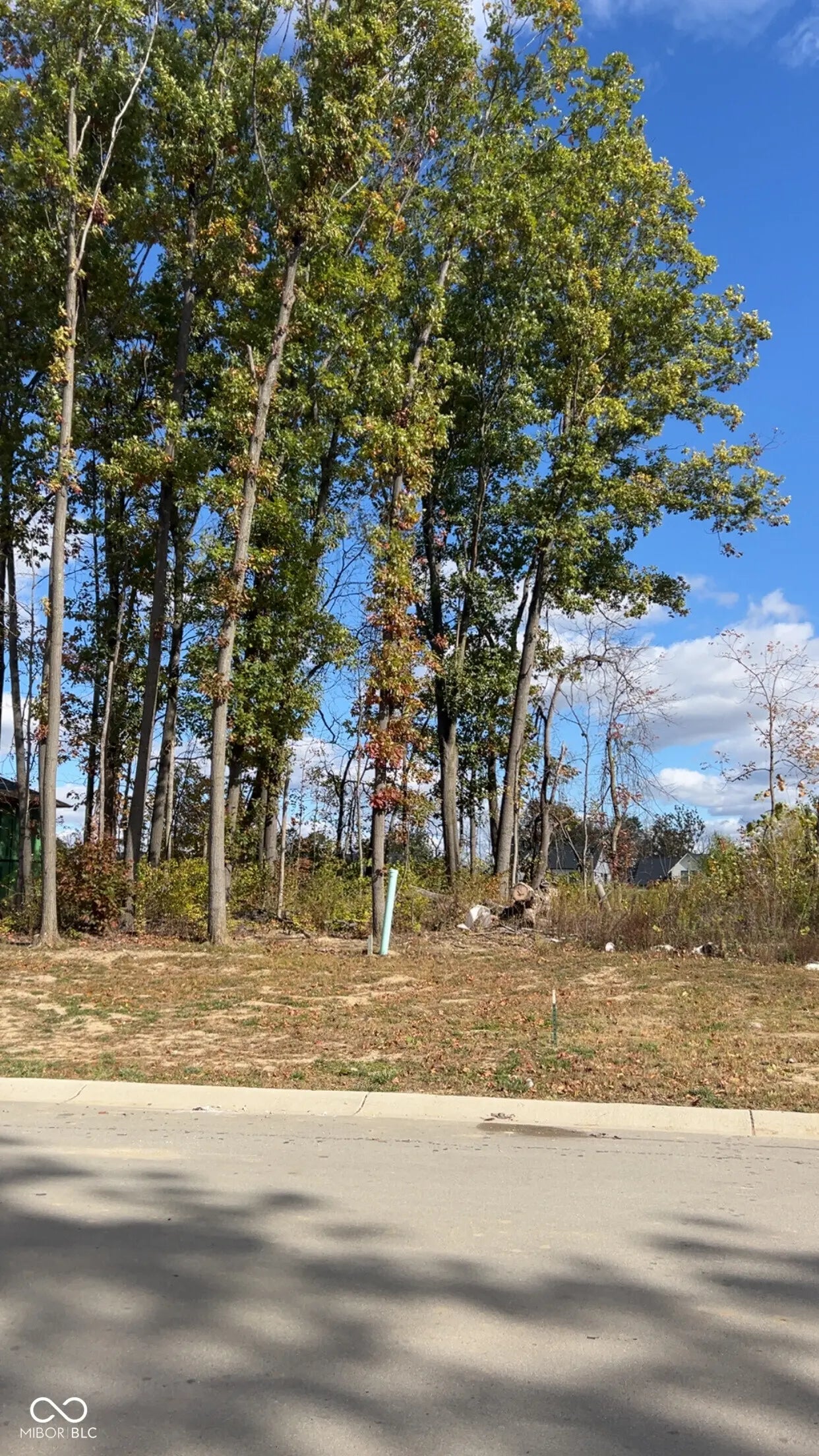 Photo of 3725 Holliday Farms Boulevard Zionsville, IN 46077