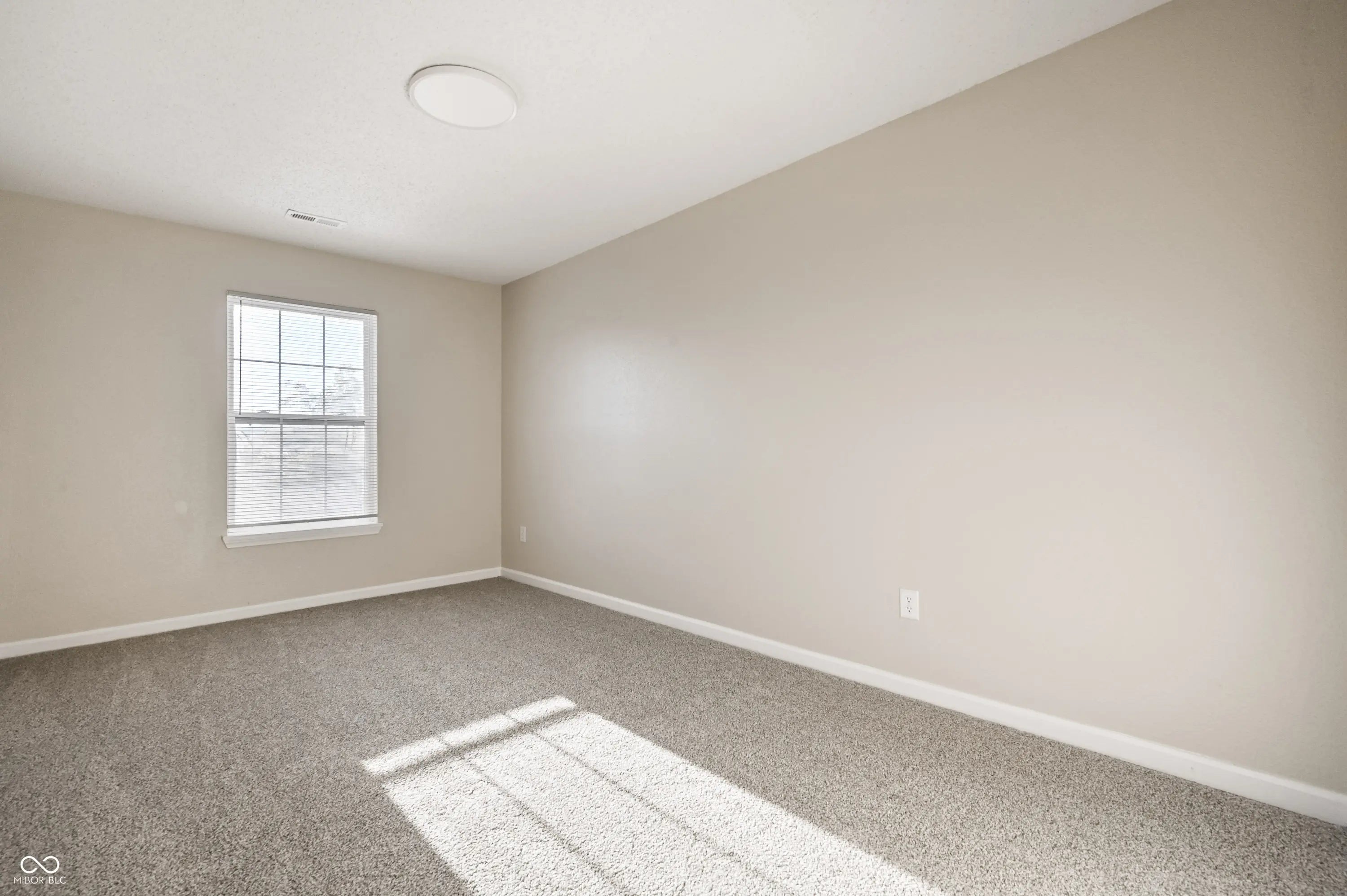 4134 Canapple Drive MLS 22069852 Orchard Valley photo 18