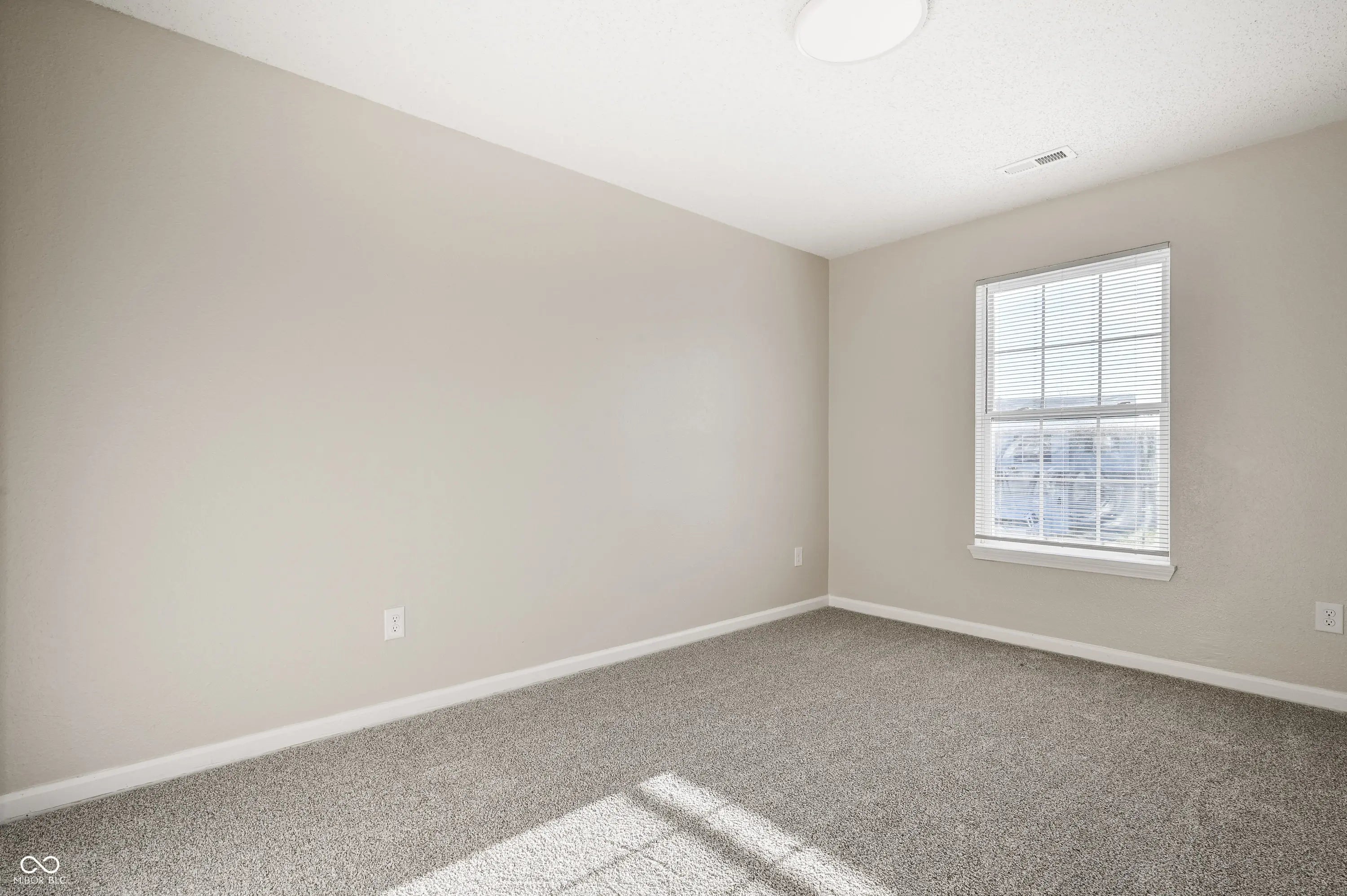 4134 Canapple Drive MLS 22069852 Orchard Valley photo 19