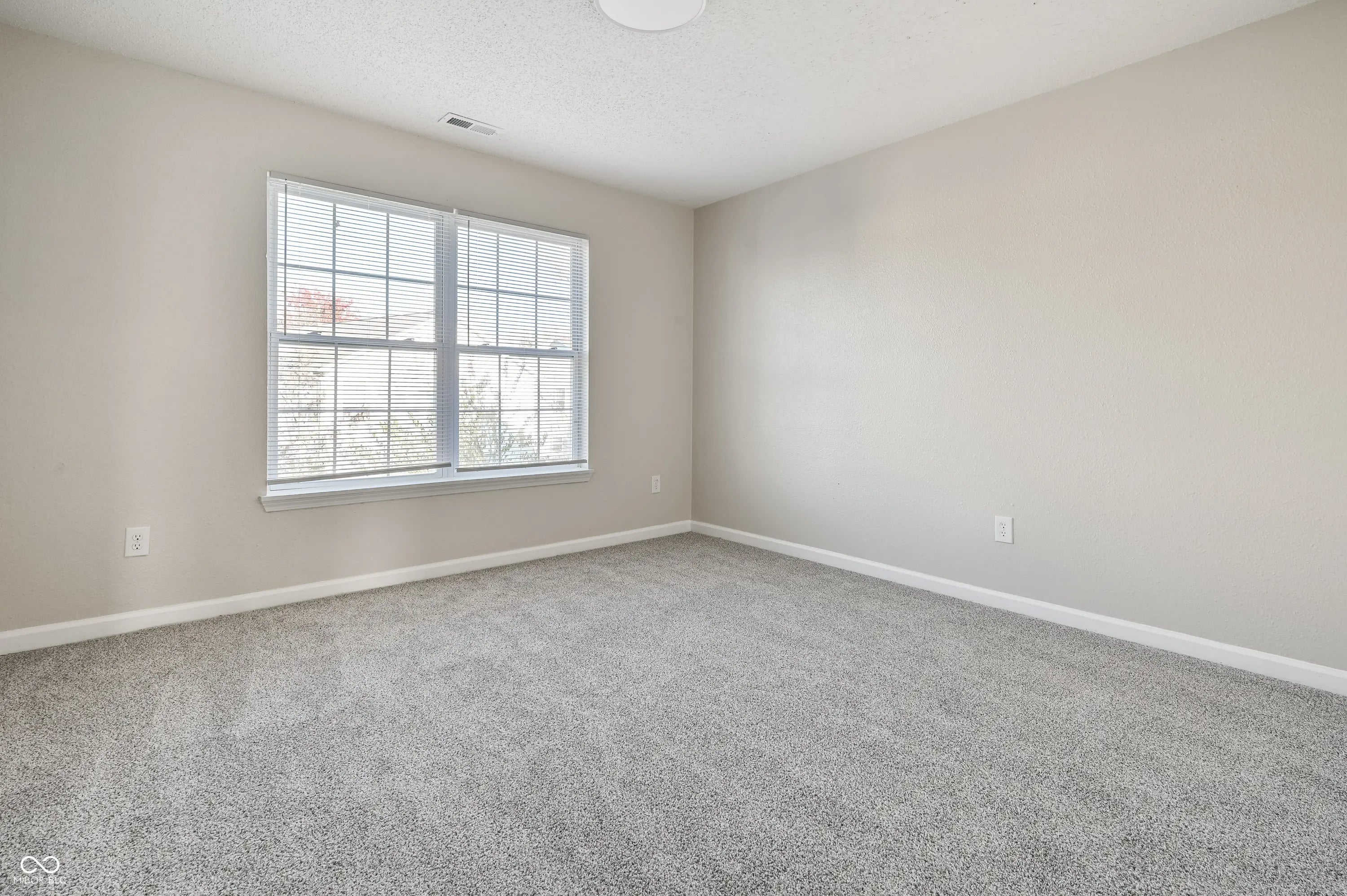 4134 Canapple Drive MLS 22069852 Orchard Valley photo 21