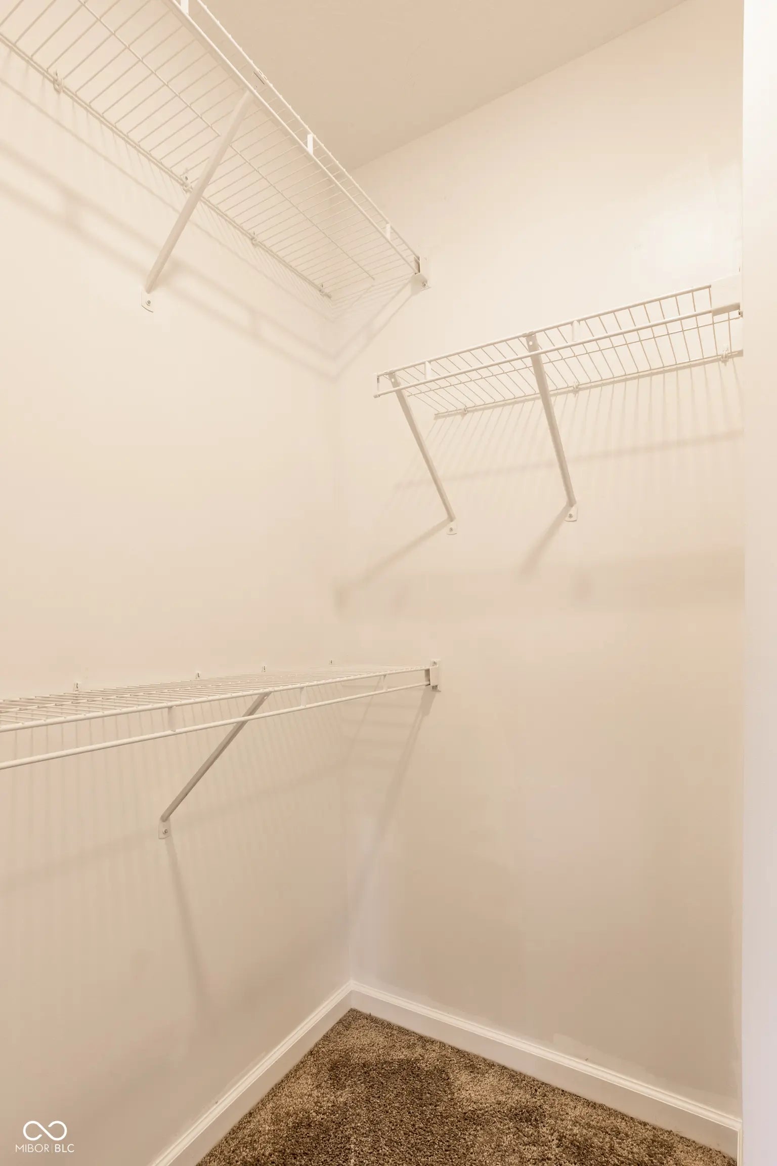 1447 Willow Tree Lane MLS 22069926 Maple Run photo 20