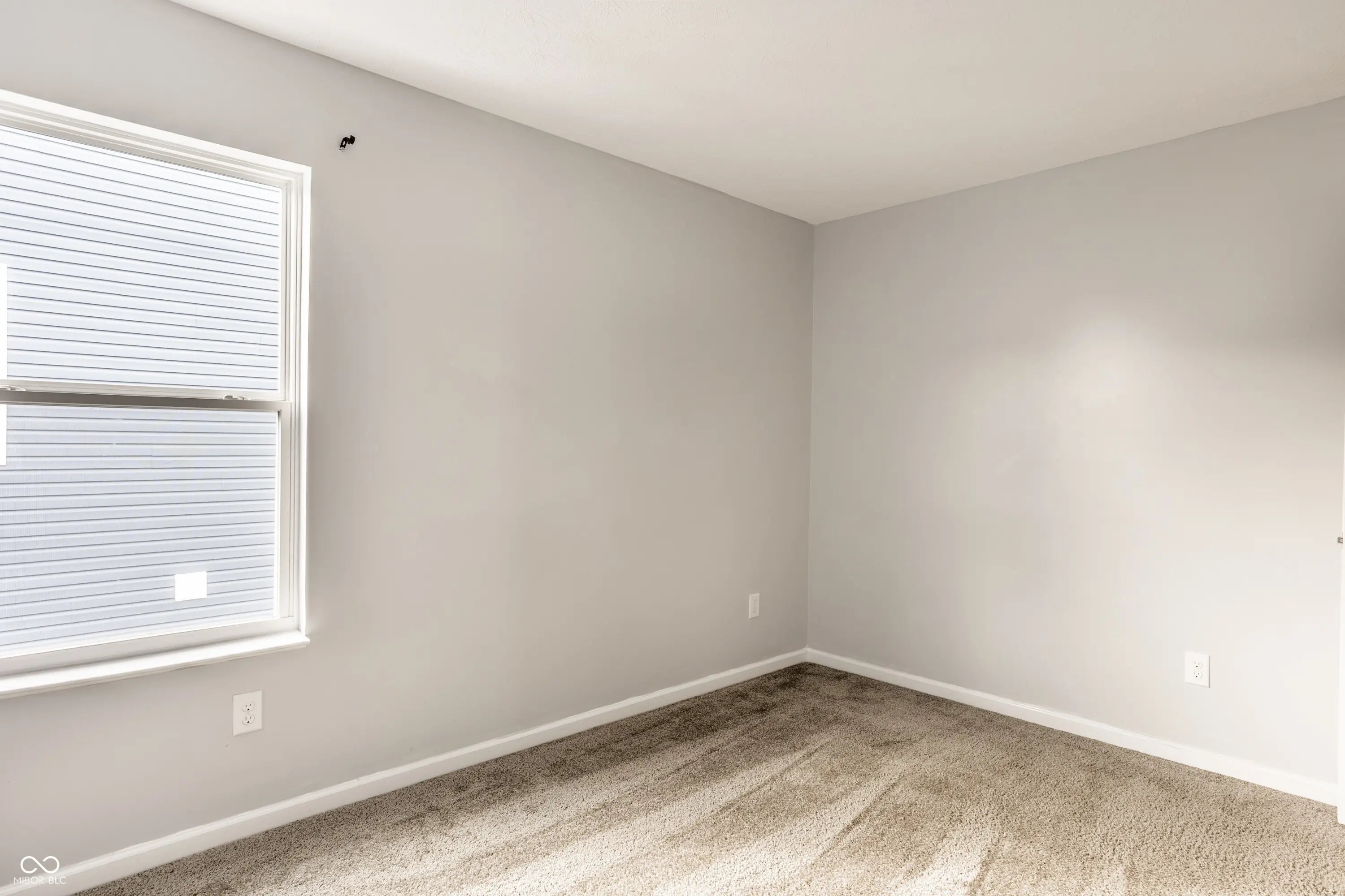 1447 Willow Tree Lane MLS 22069926 Maple Run photo 28