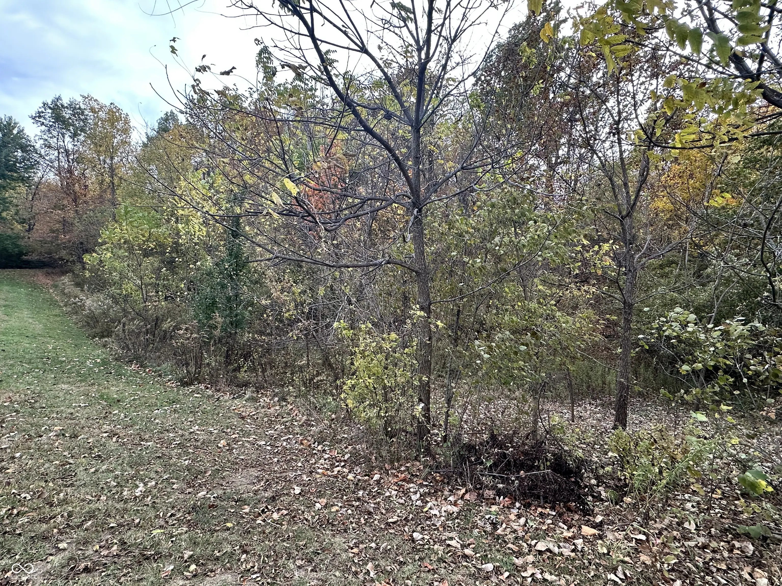 Photo of Shadowlawn Avenue Greencastle, IN 46135