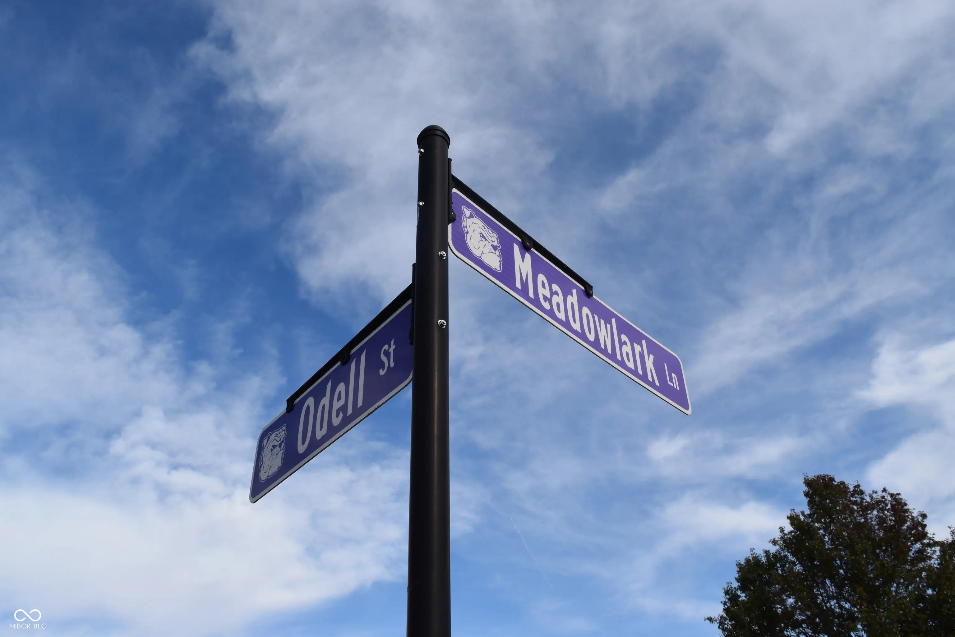 2029 Meadowlark Lane MLS 22070488 Thornburg photo 46