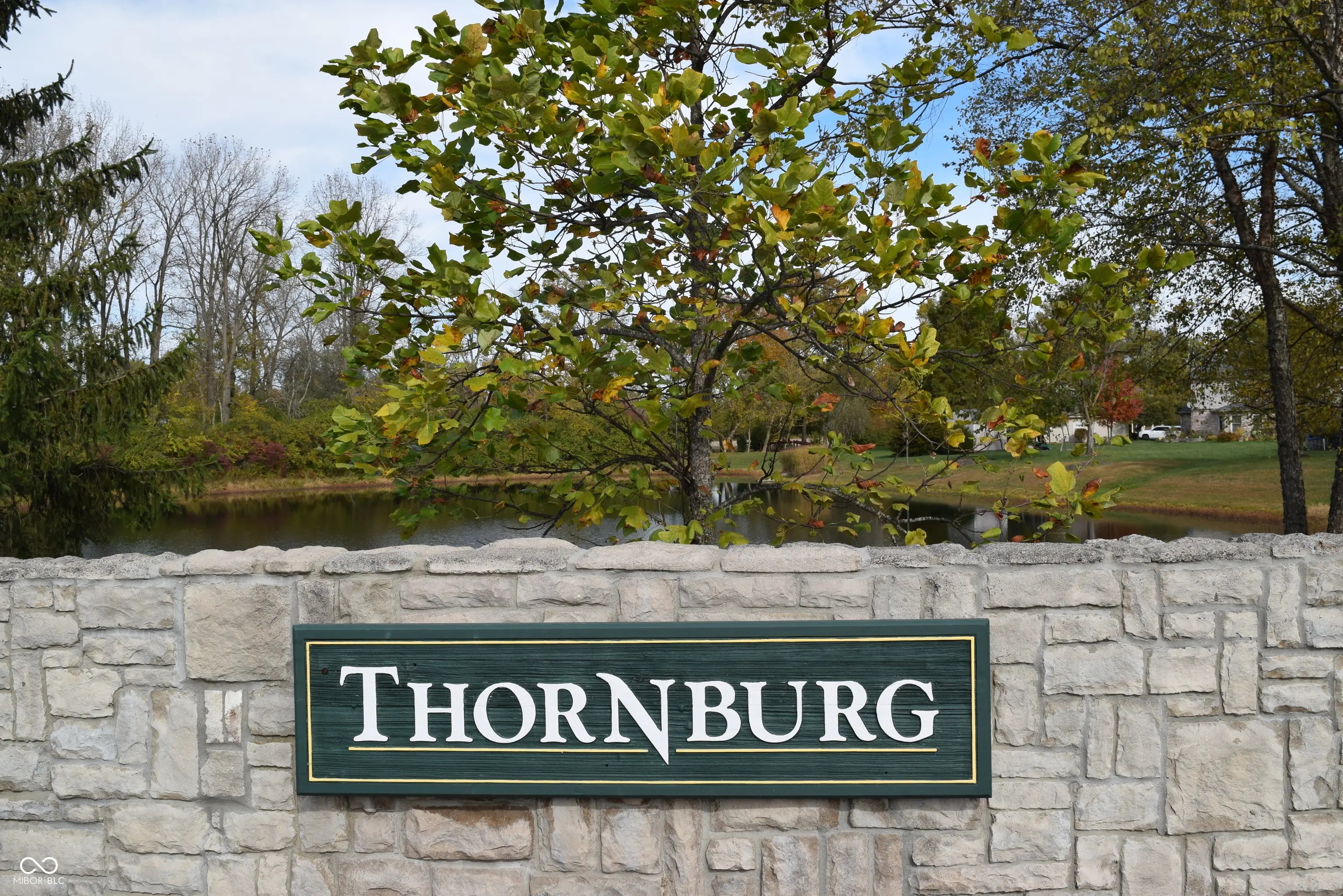 2029 Meadowlark Lane MLS 22070488 Thornburg photo 48