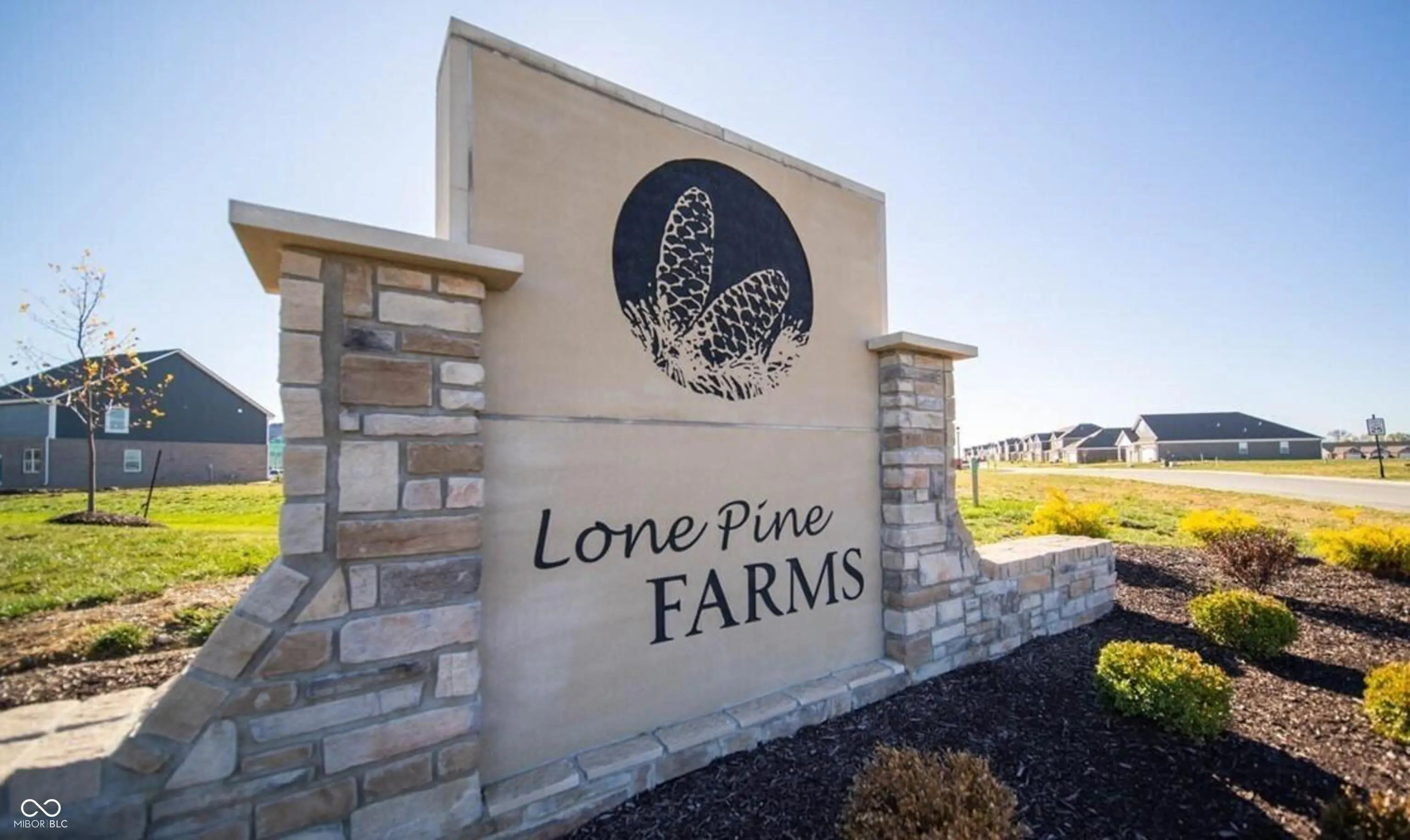 1307 Foxtail Lane MLS 22070539 Lone Pine Farms photo 4