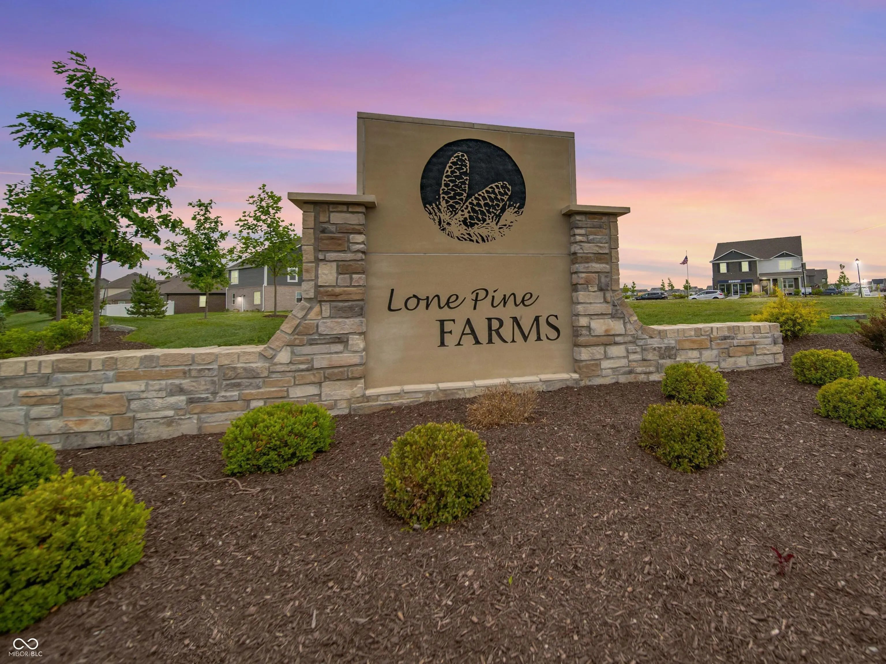 1307 Foxtail Lane MLS 22070539 Lone Pine Farms photo 5