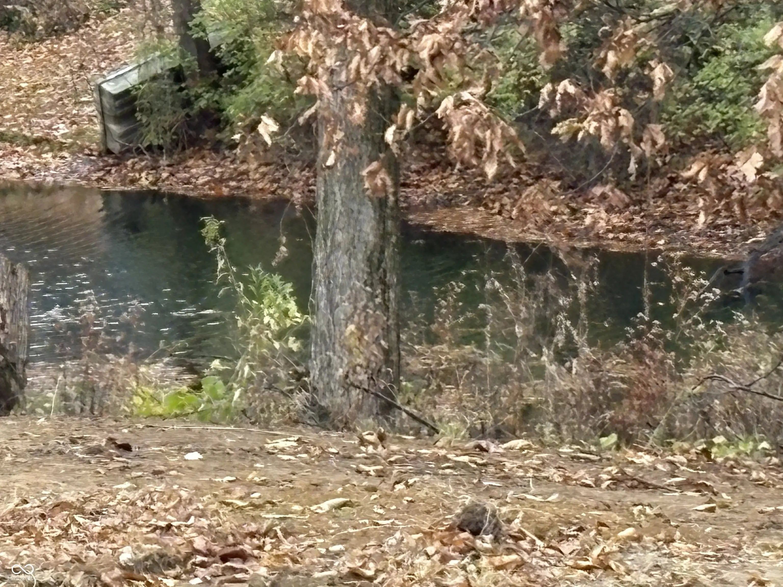 Photo of 40 Lazy River Road Cloverdale, IN 46120