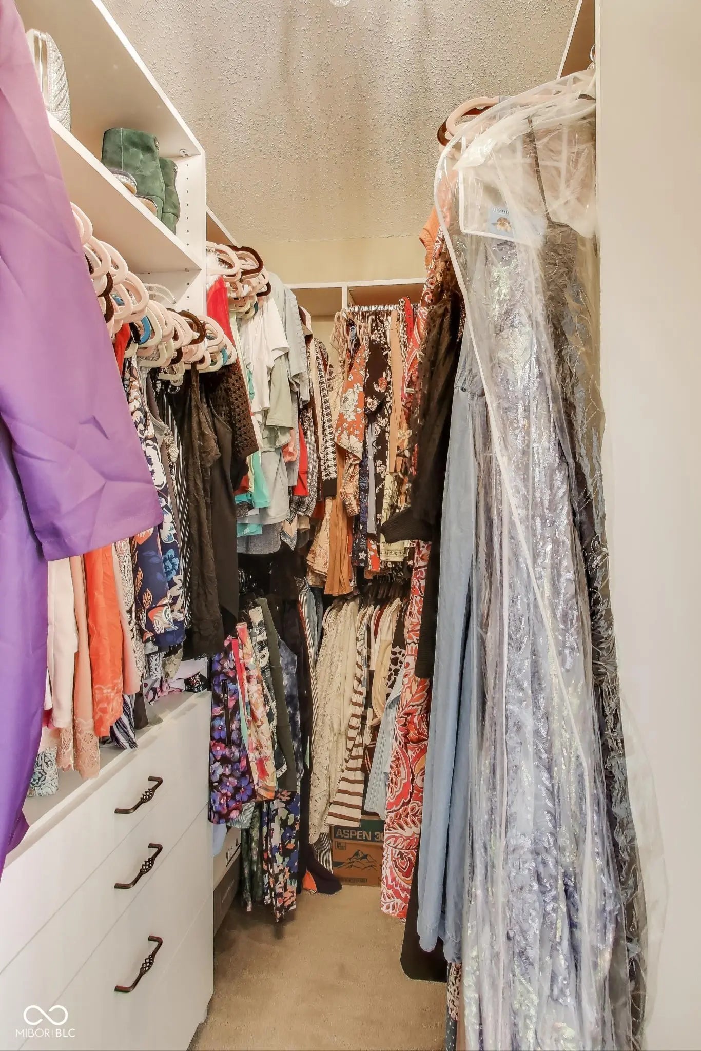 15860 Symphony Boulevard MLS 22070882 Arbor Grove photo 26