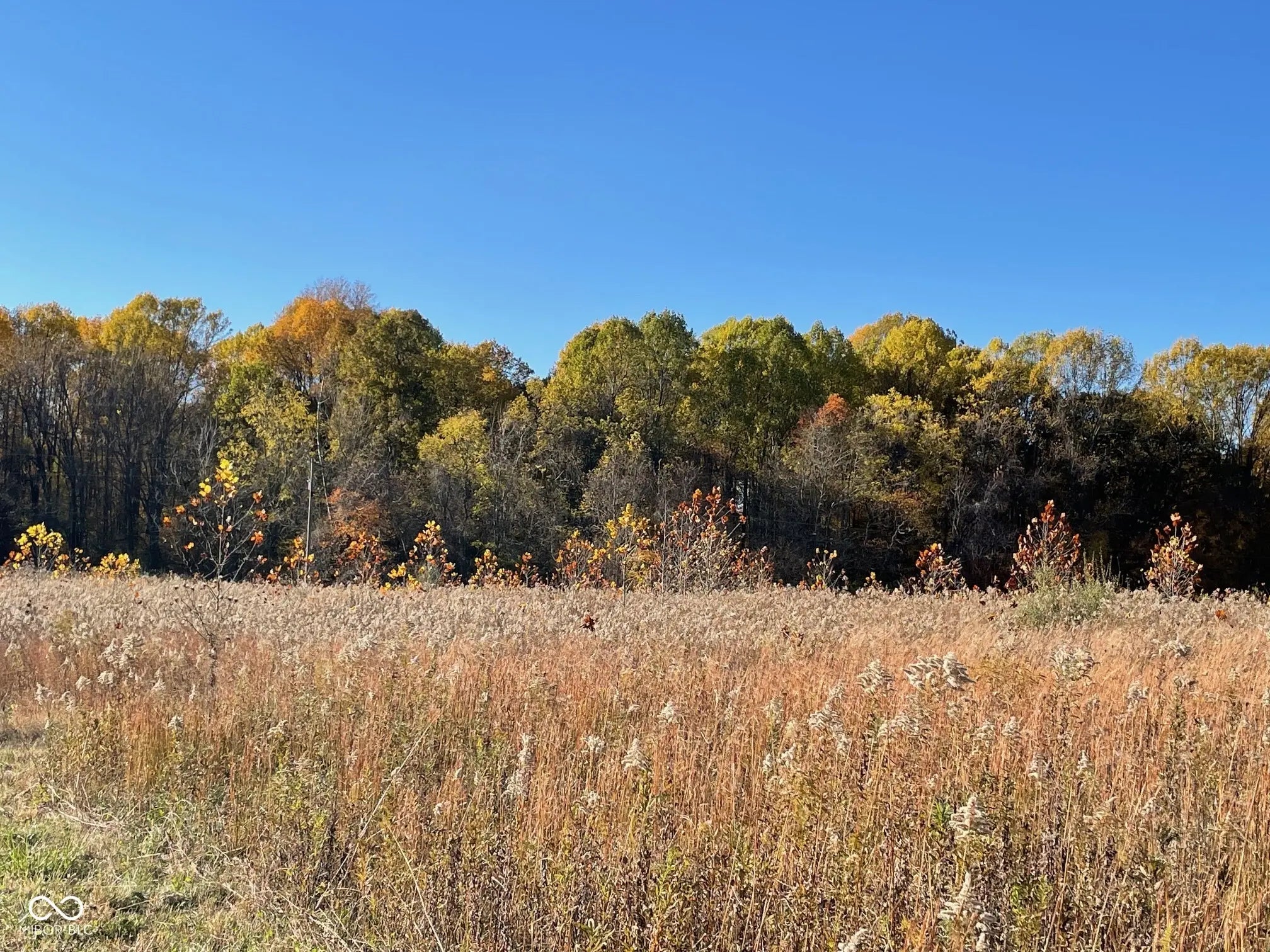 Photo of Lot 0 N Briarhopper Road Monrovia, IN 46157