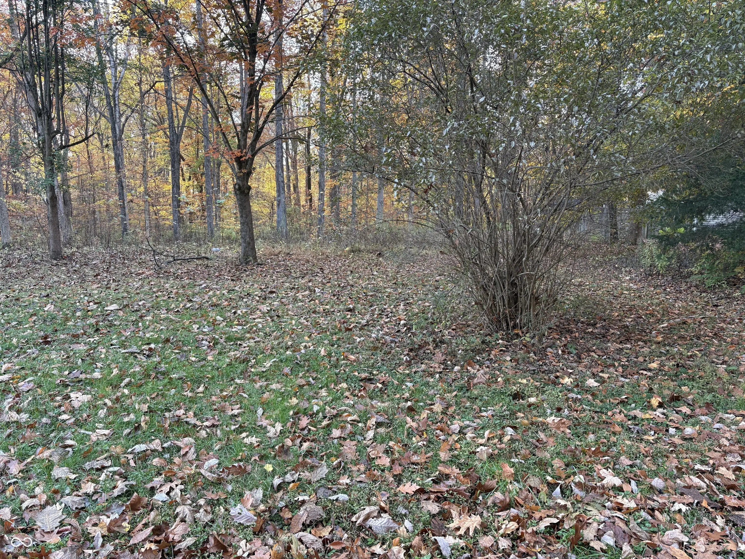 628 Lazy River Road, Cloverdale