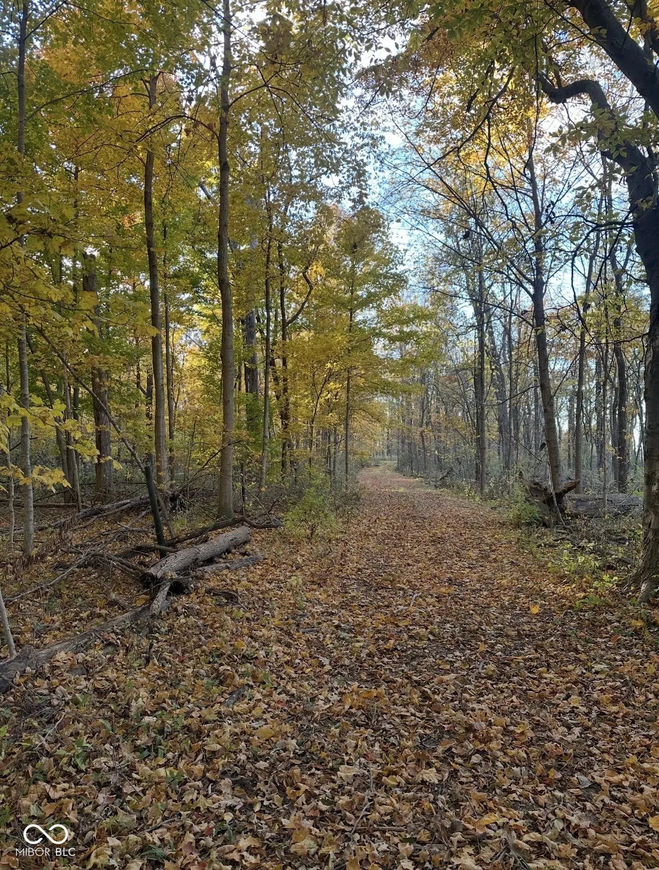 Photo of Cyntheanne Road Noblesville, IN 46060