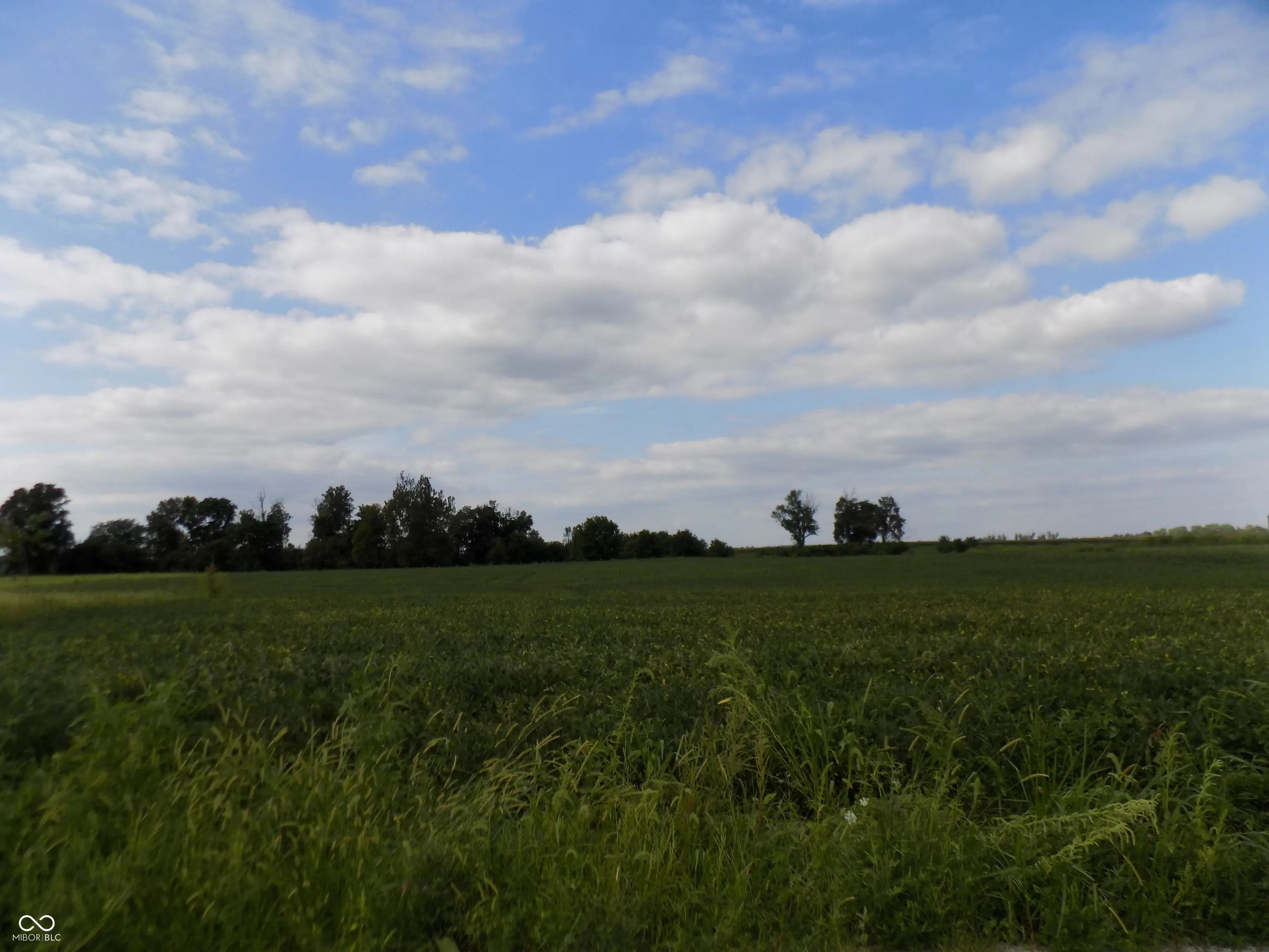 Walters Road, Martinsville