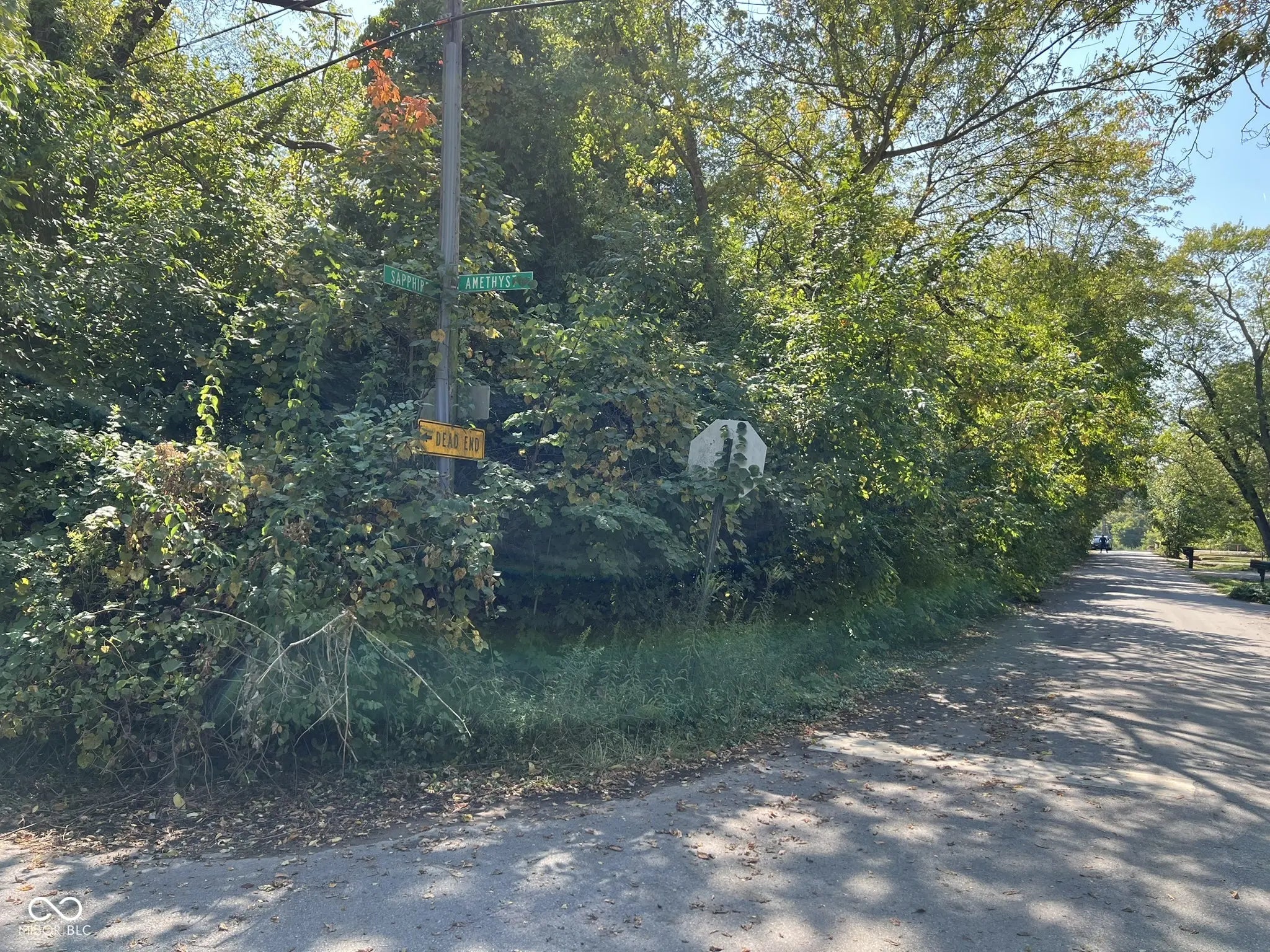 3109 Sapphire Boulevard, Indianapolis