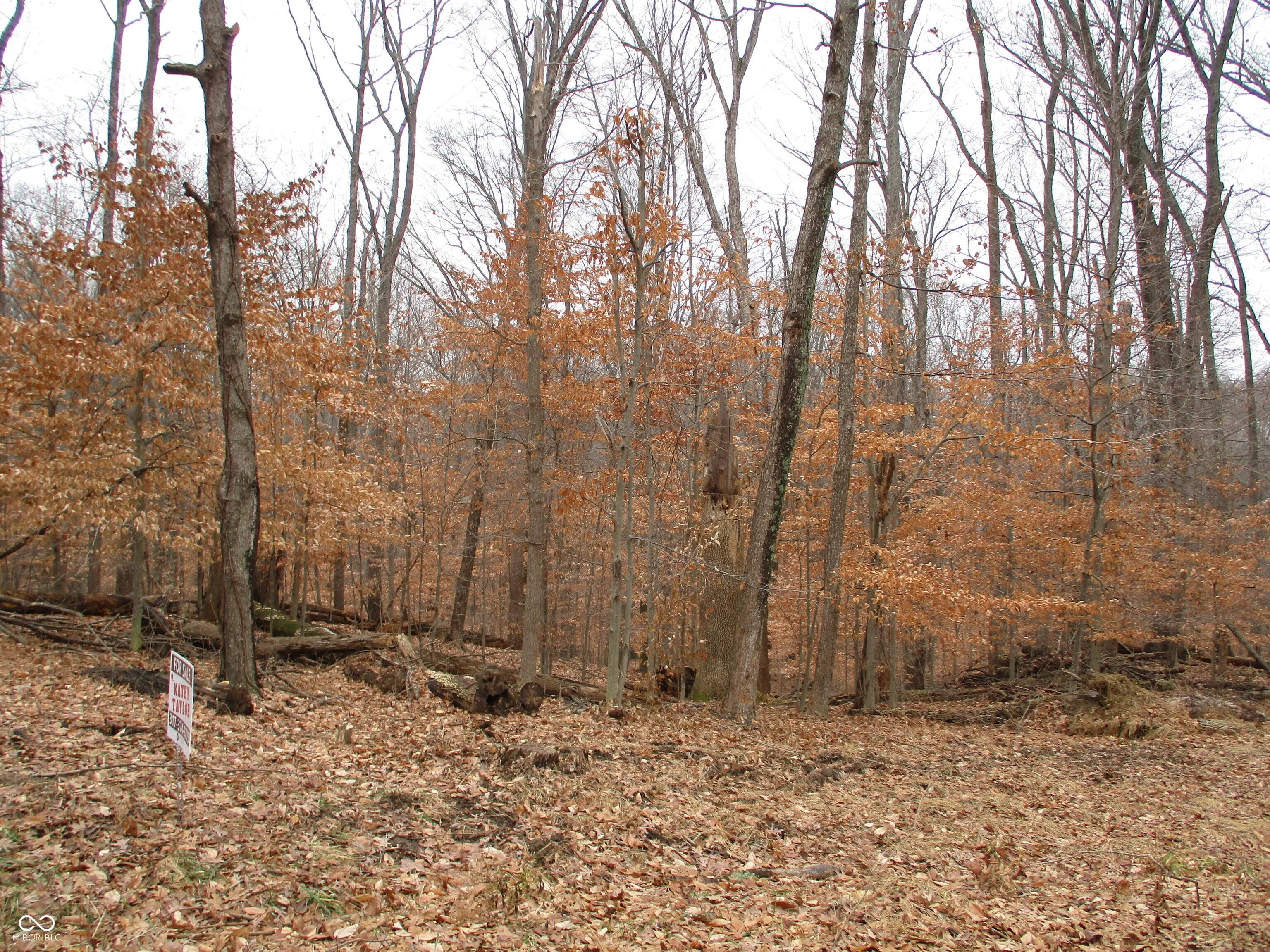 Glenwood East Drive, Martinsville