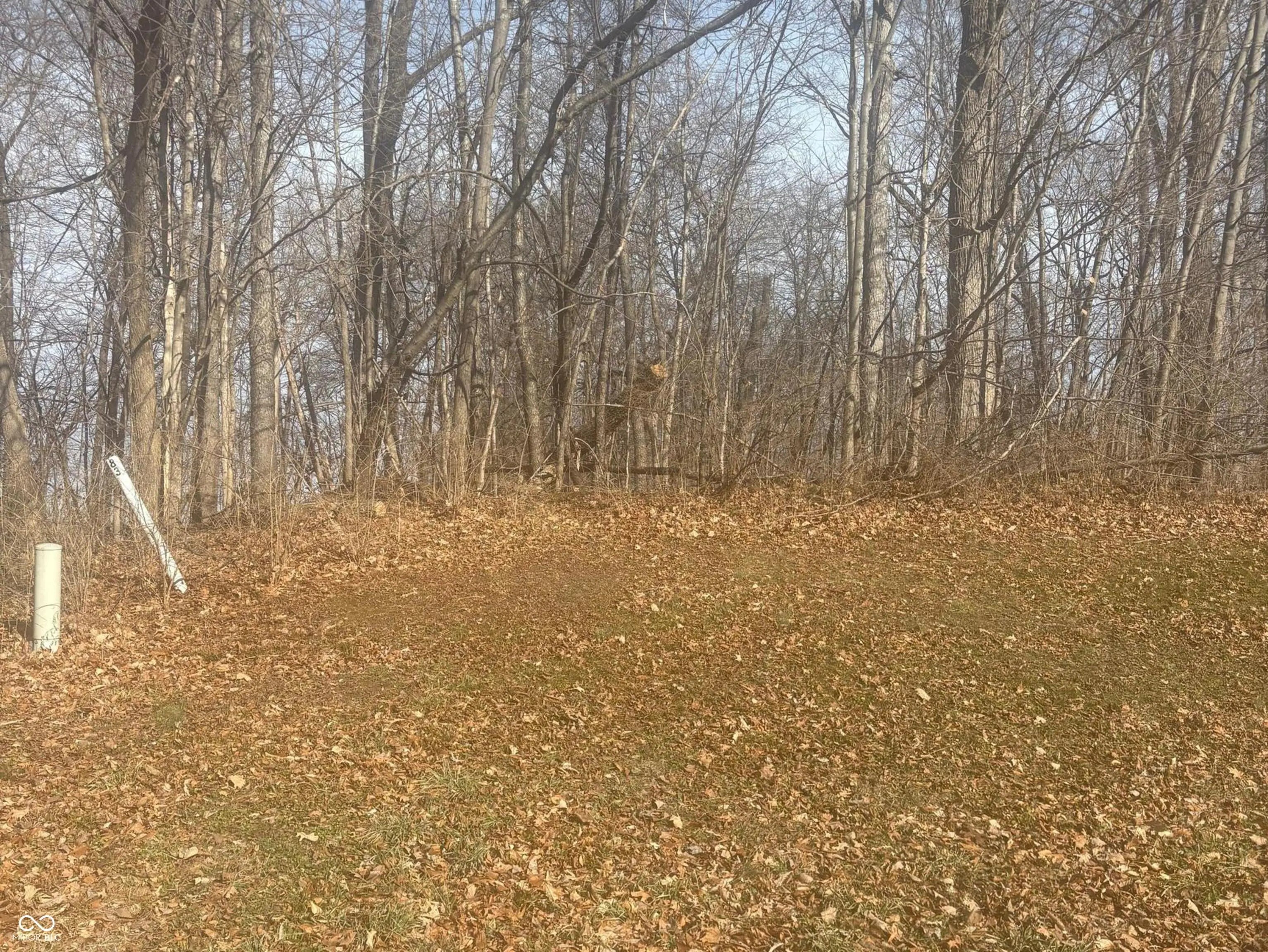 Photo of 5714 Hickory Woods Court Plainfield, IN 46168