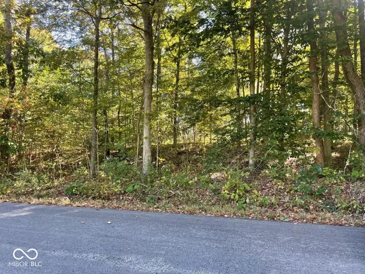 Photo of Tbd Ditney Ridge Road Bedford, IN 47421