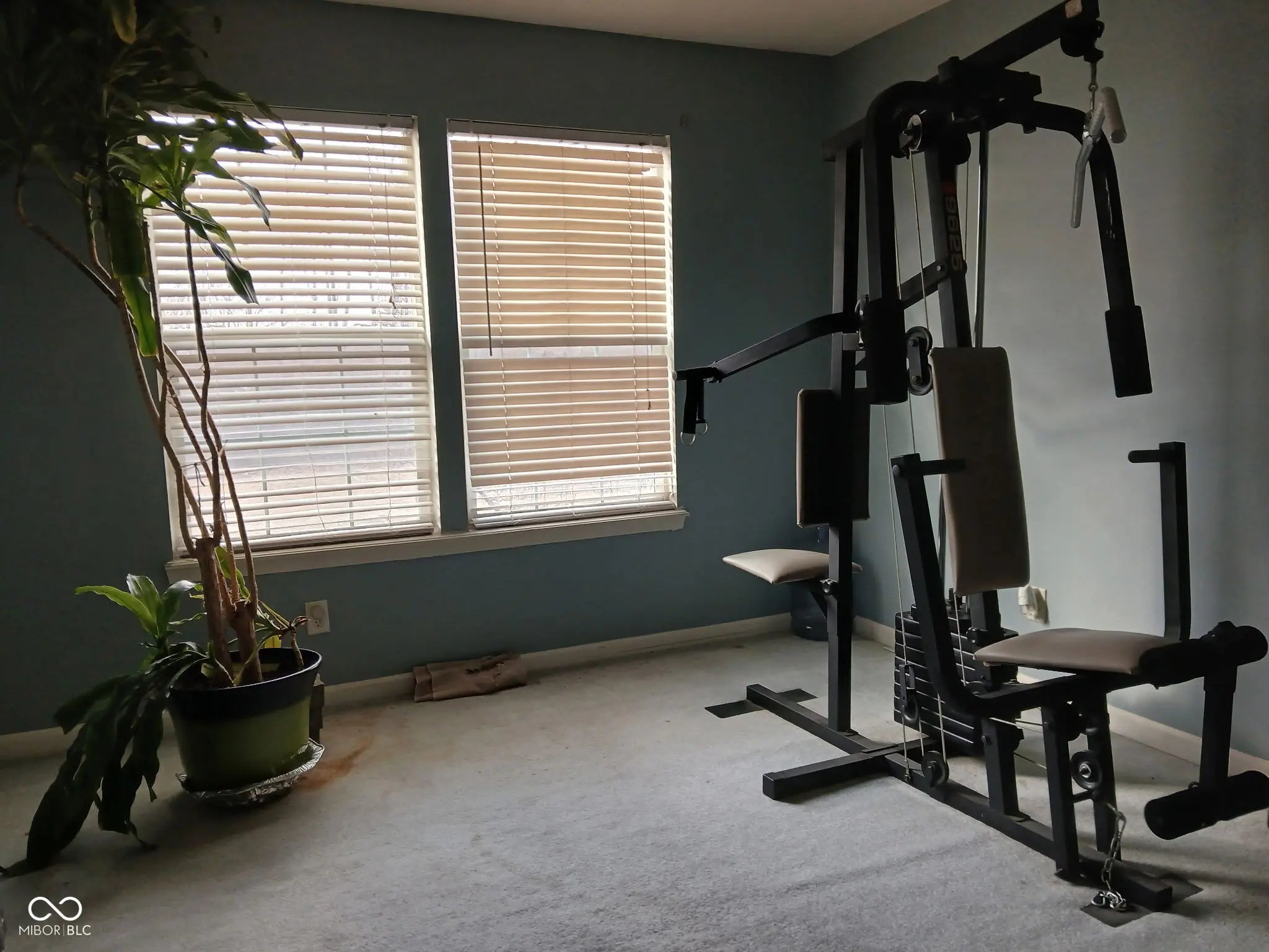 6116 Morning Dove Drive, Indianapolis