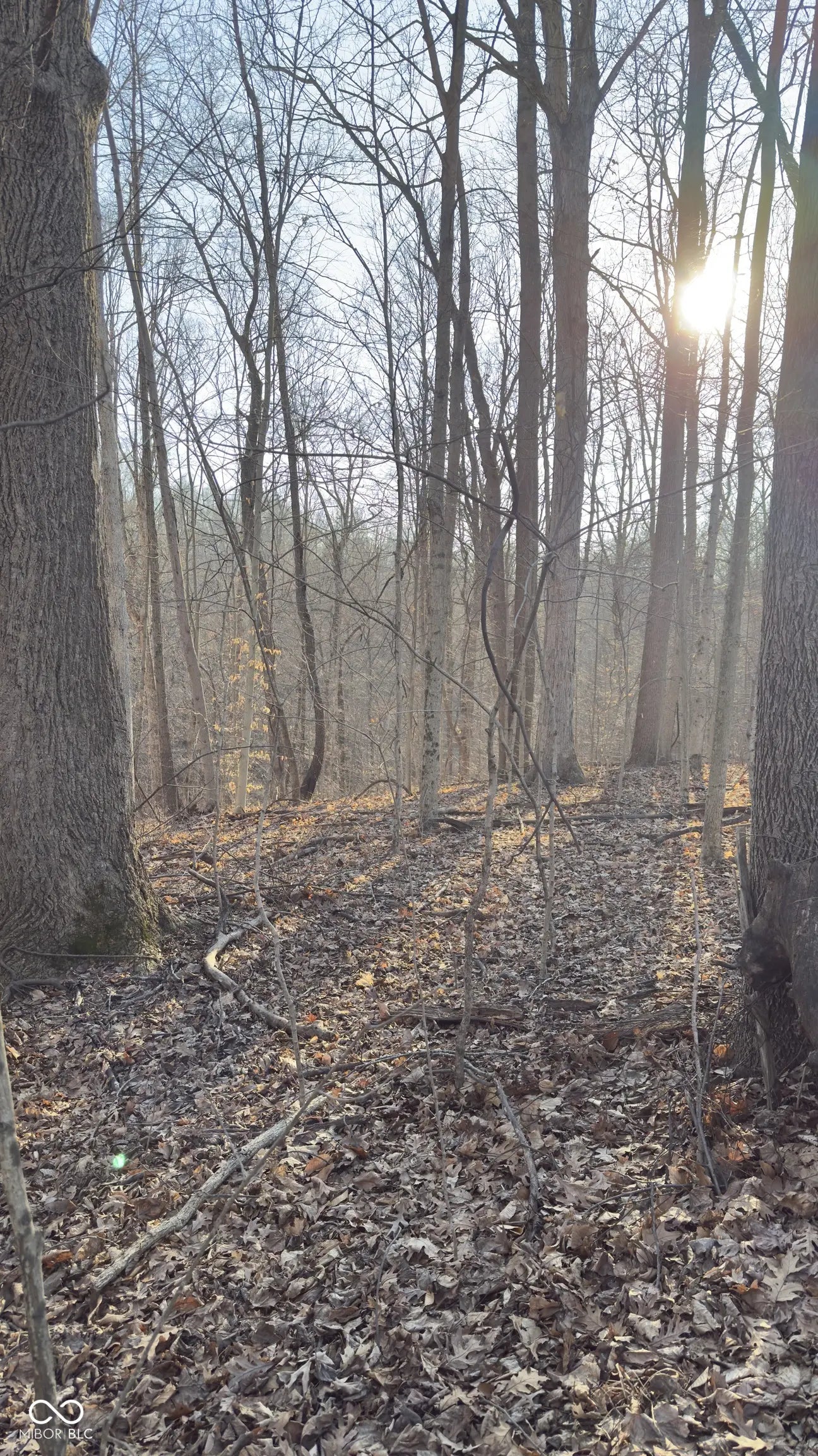 600 South, Reelsville