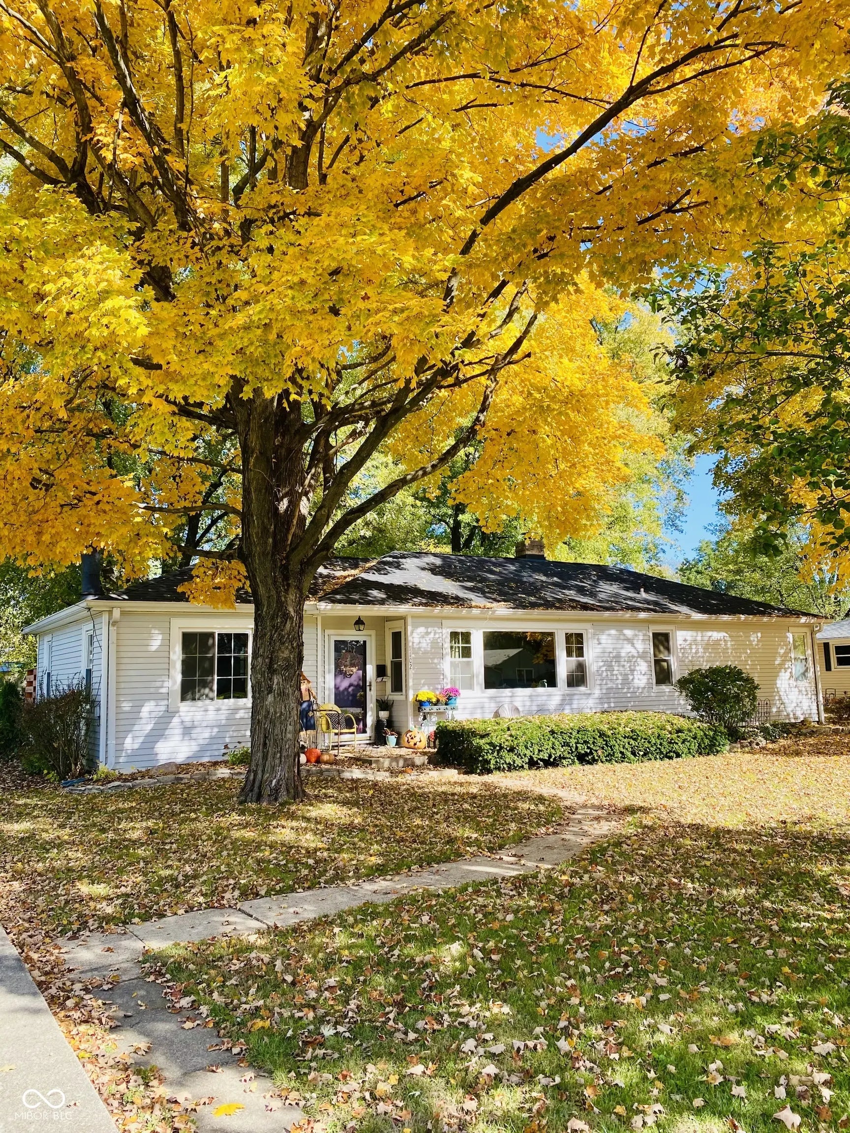 1102 E Jefferson Street, Franklin