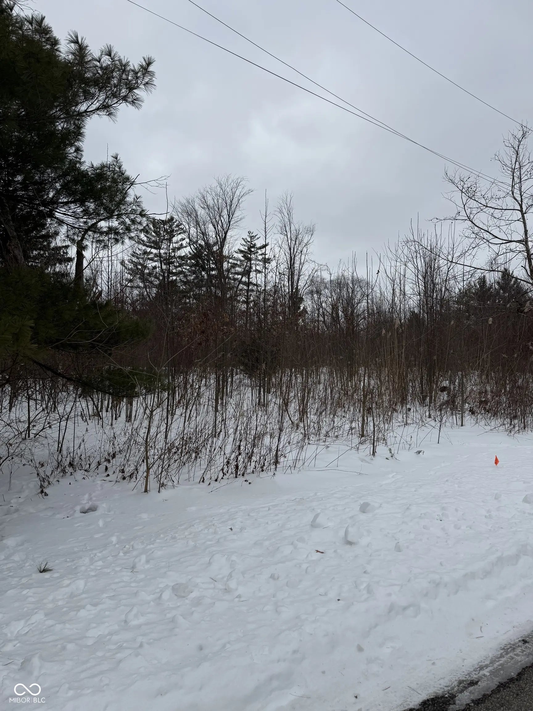 9604 Hamilton Hills Drive, Fishers