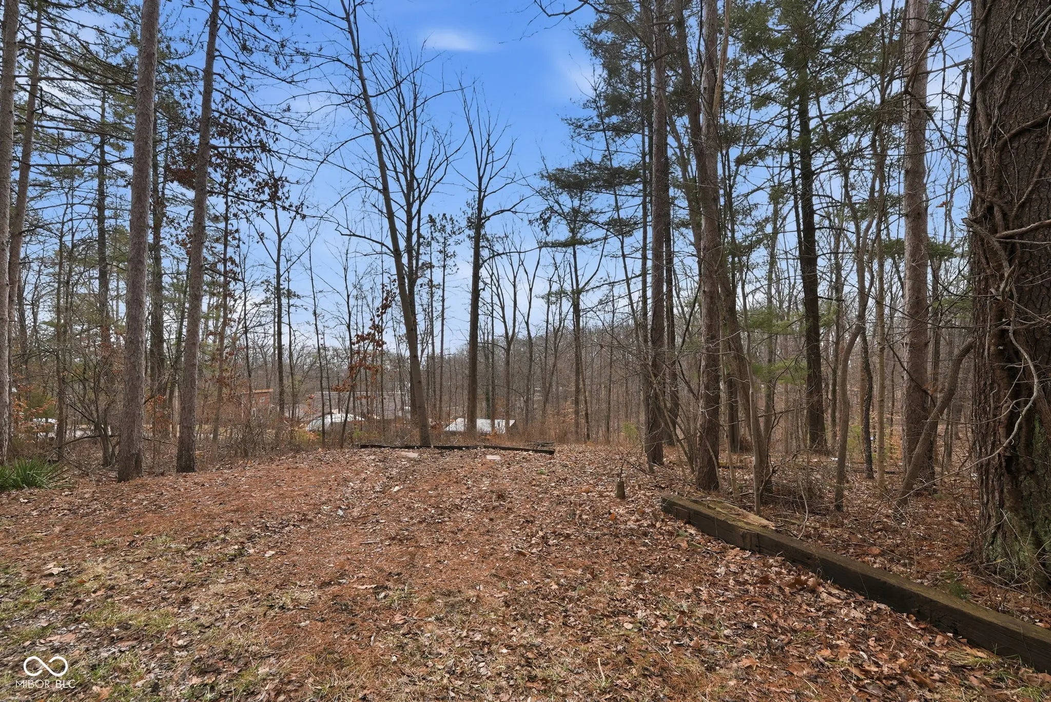 7131 Grouper Drive, Nineveh